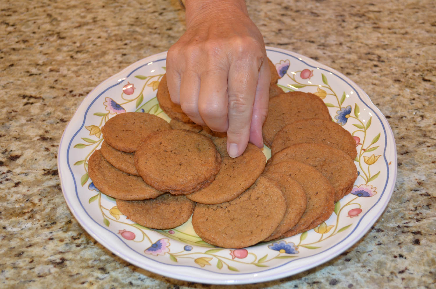 Plated yummy Ashley’s Chewy Ginger Cookies from her family recipe.