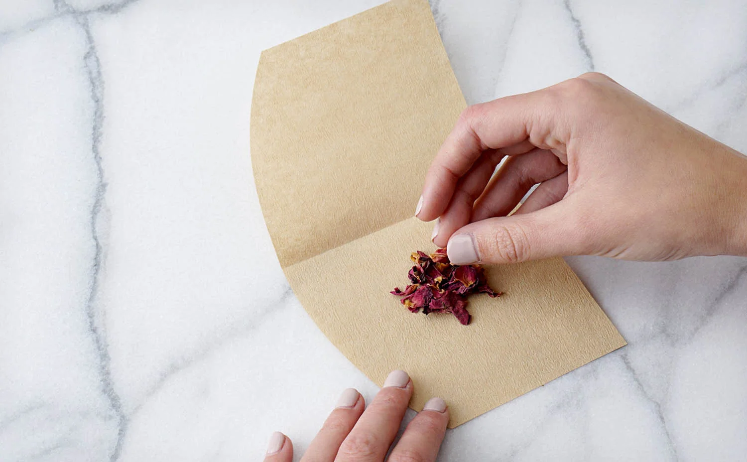 Loose dried flower petals being sprinkled onto coffee filter paper