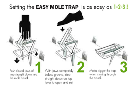 Easy Mole Trap — Oak Hill