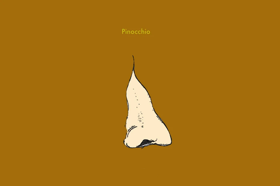 pinoch.jpeg
