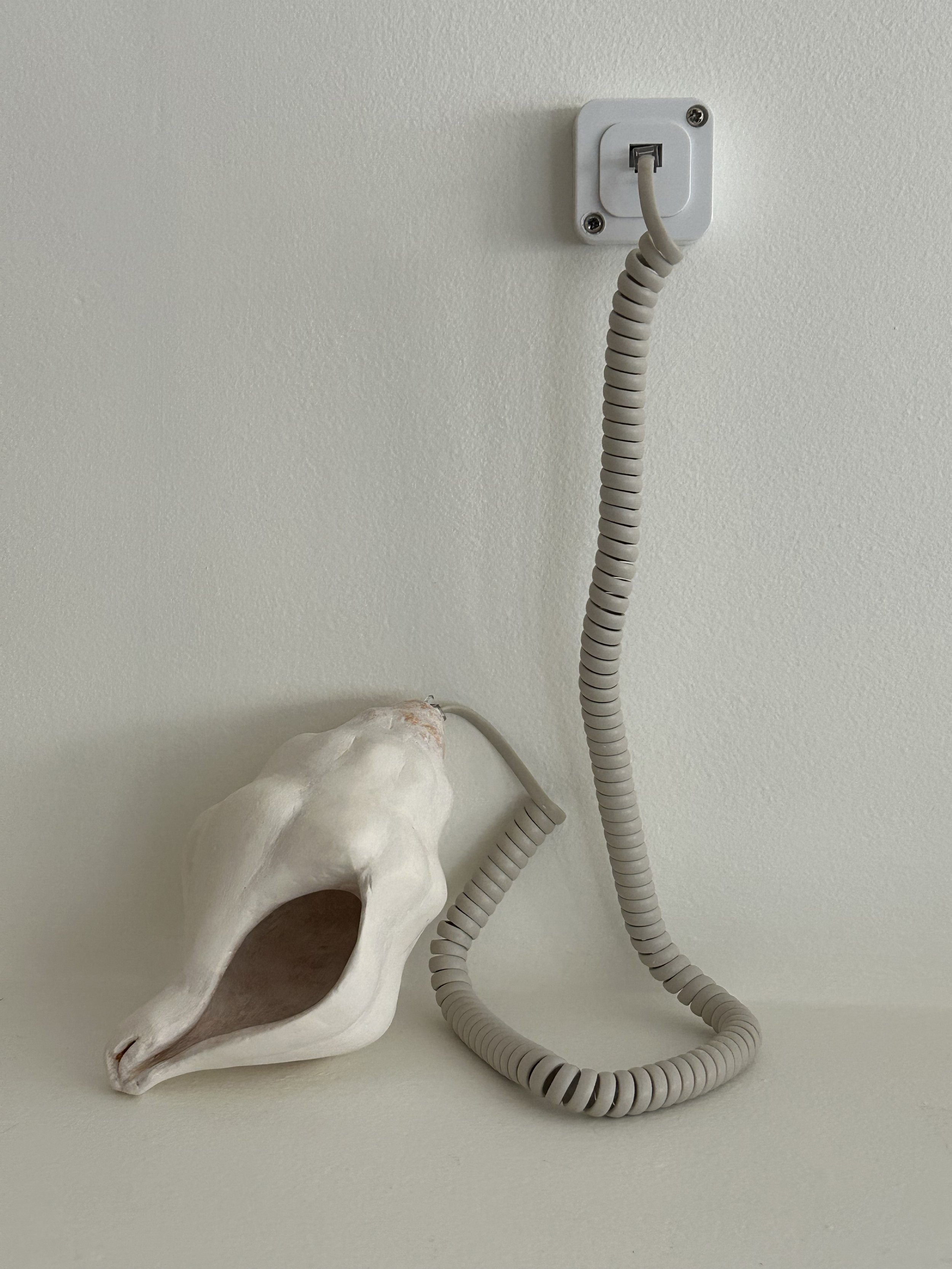 Shell Phone