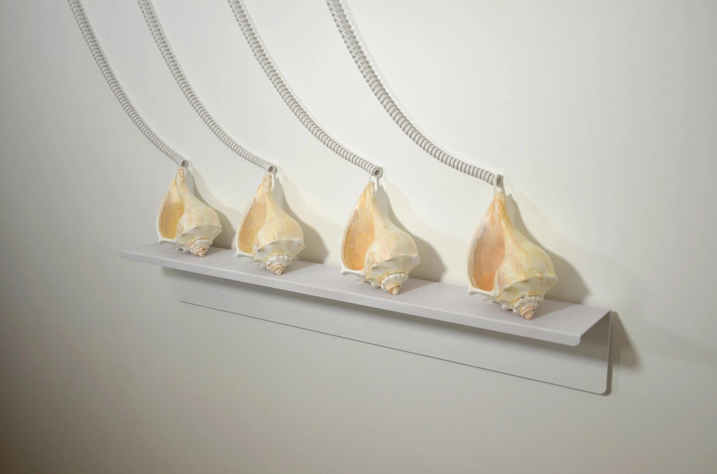 Shell Phone Shelf