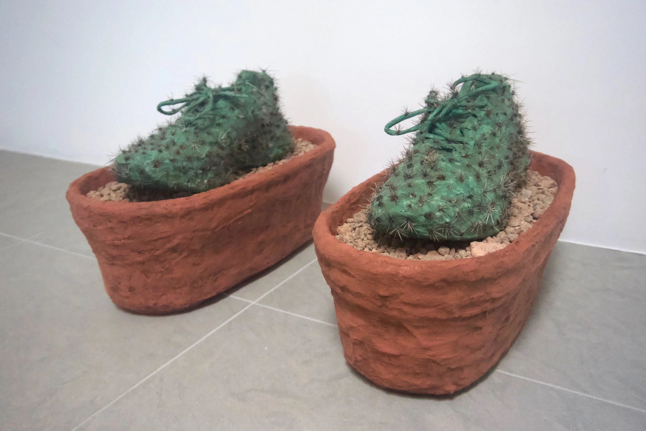 Cactus Shoes
