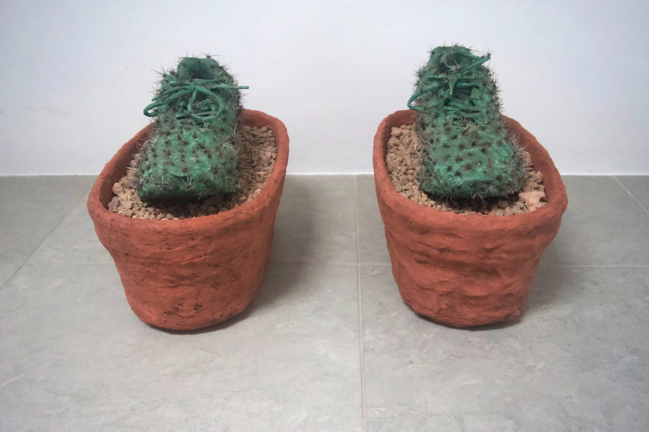Cactus Shoes