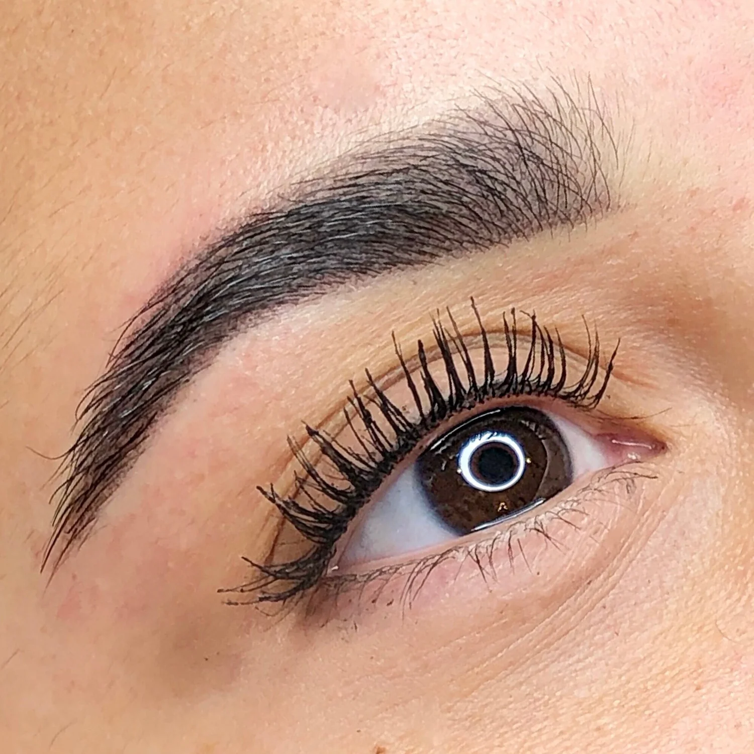 MICROBLADING, POWDER BROWS & COMBO BROWS — BROWS & BEAUTY COMPANY
