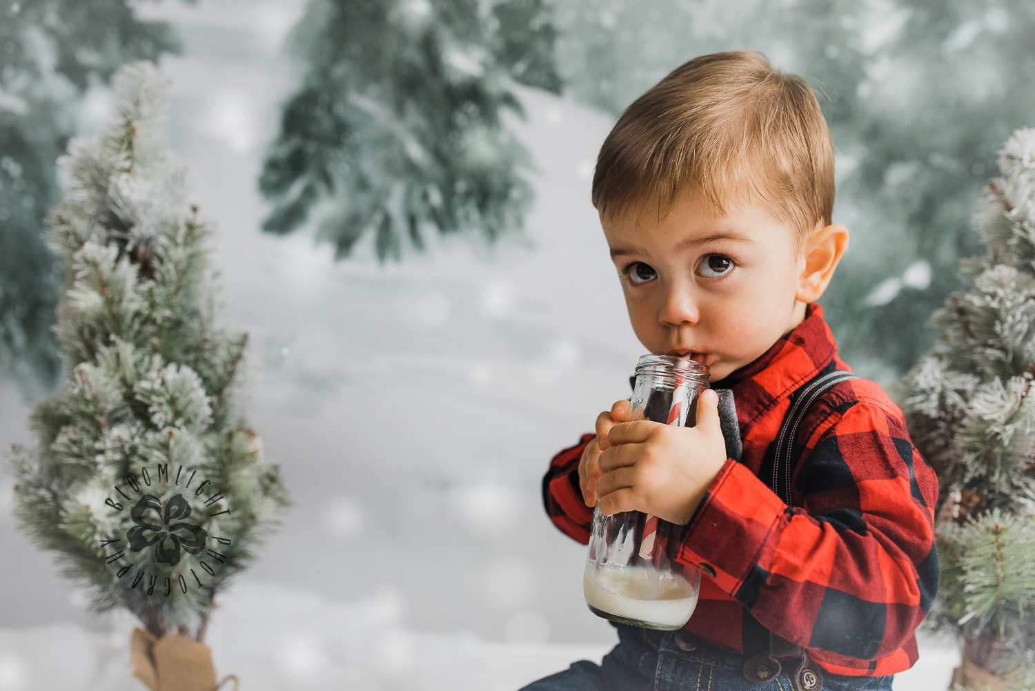 Toronto-NorthYork-Christmas-Minis-Holiday-Photographer-baby-children-kid-photo (51).jpg