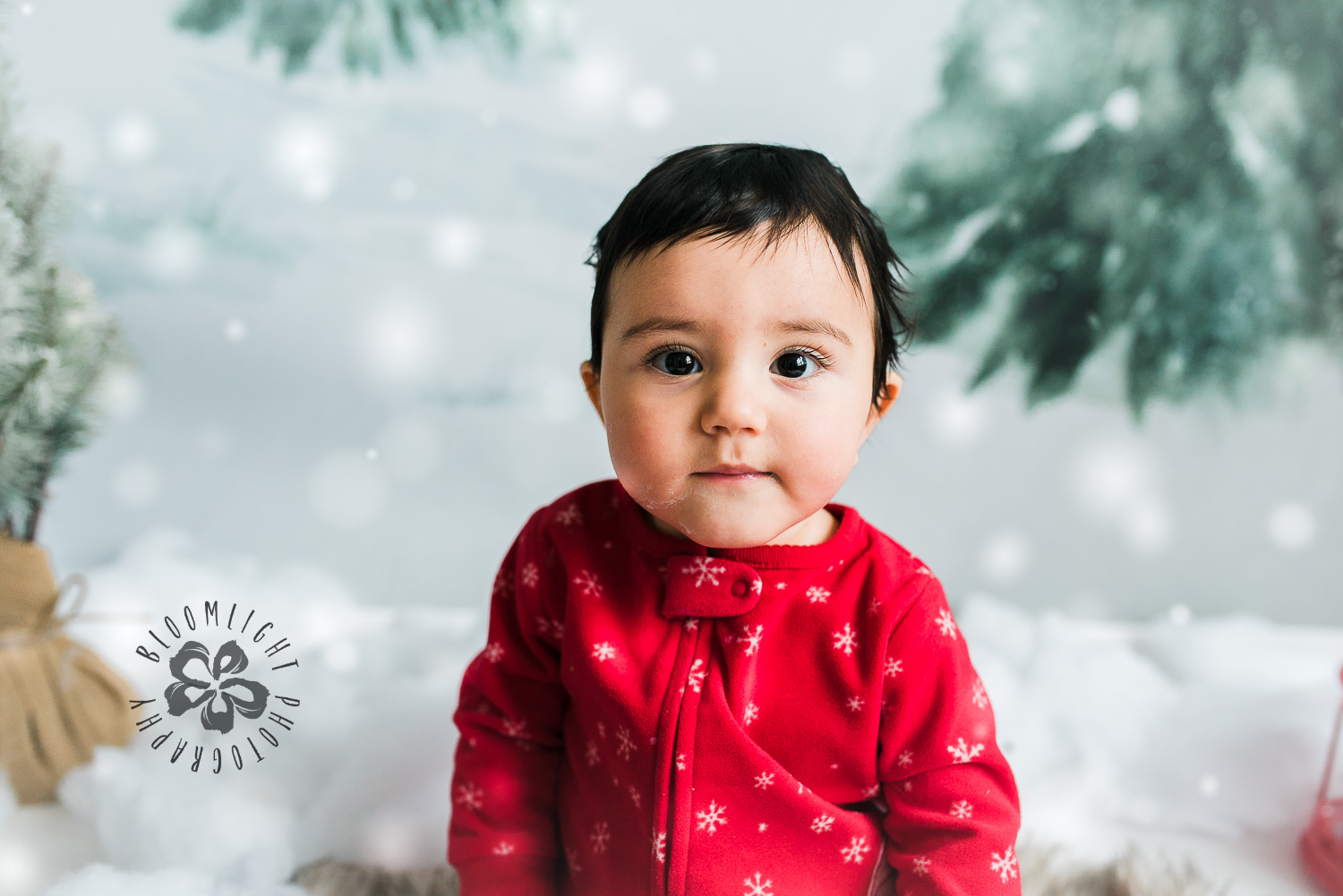 Toronto-NorthYork-Christmas-Minis-Holiday-Photographer-baby-children-kid-photo (55).jpg