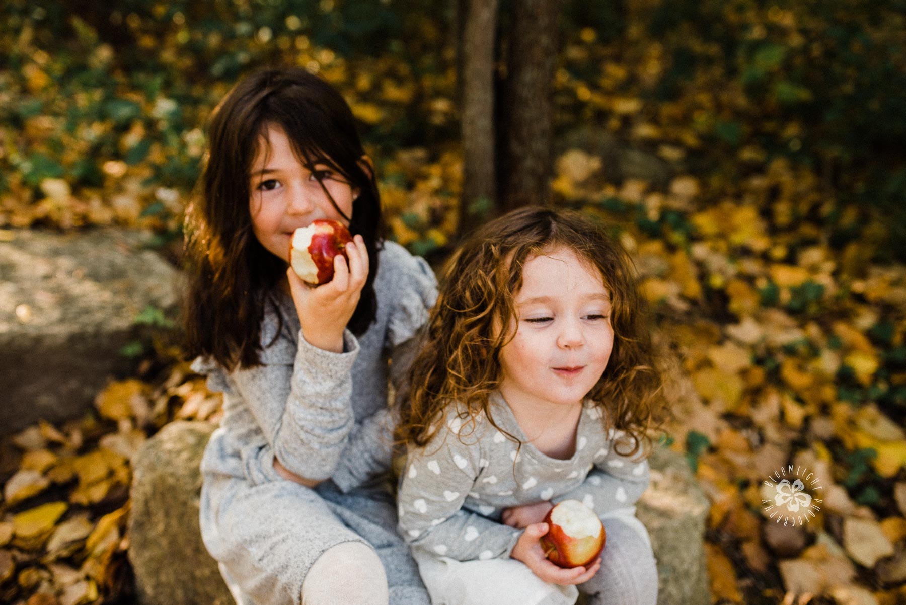 two cute little sister sitting besides each other, laughing and enjoy eating red apple.