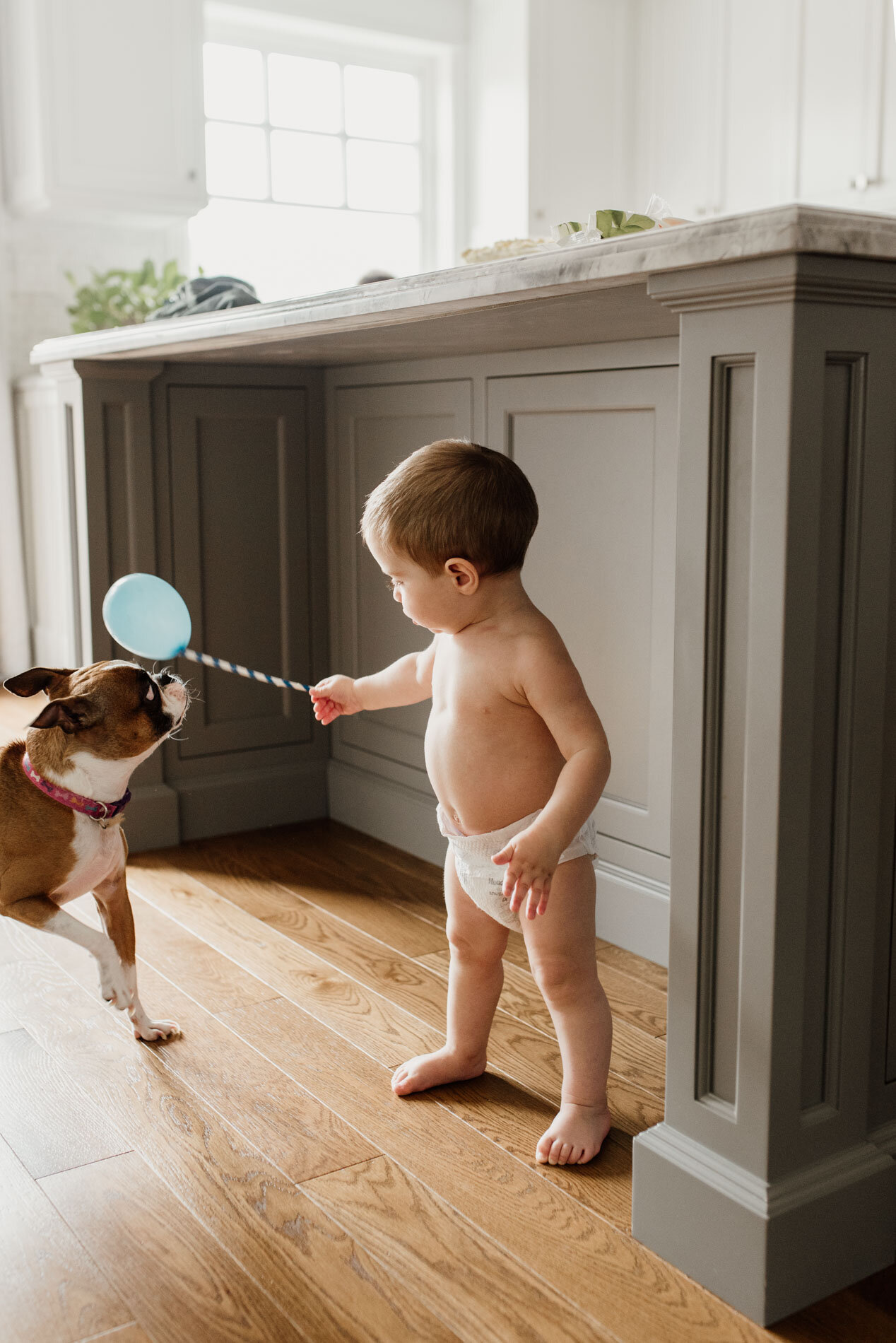 baby-play-with-pet-dog-at-home-documentary-photographer.JPG