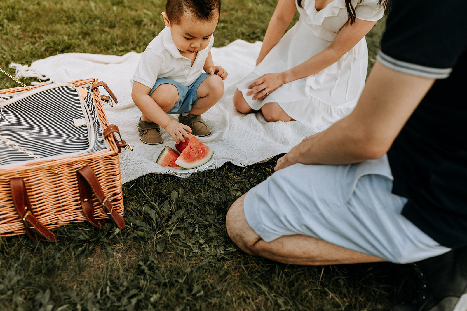 watermelon picnic with a family in North York