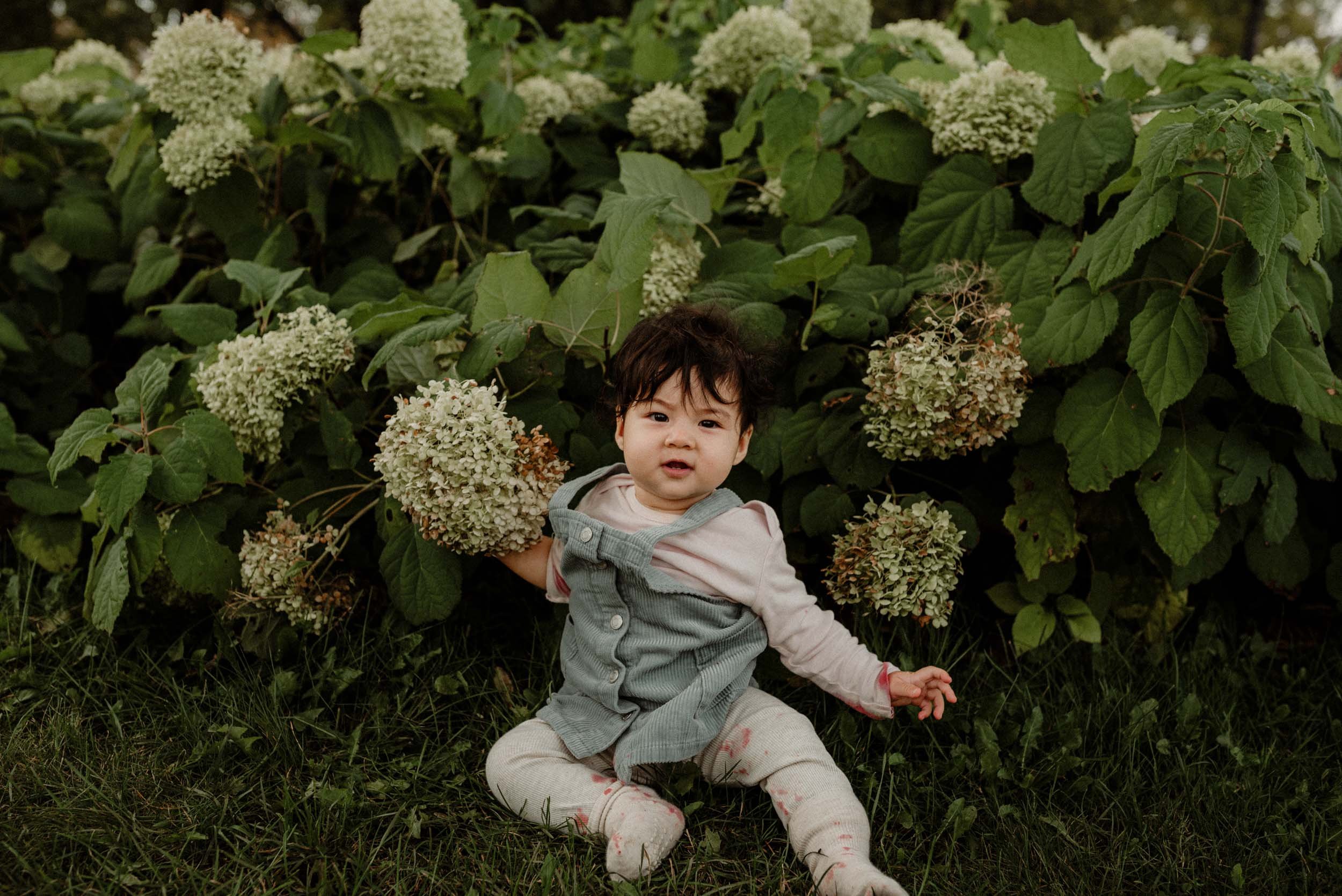 adorable picture of a baby with the floral background