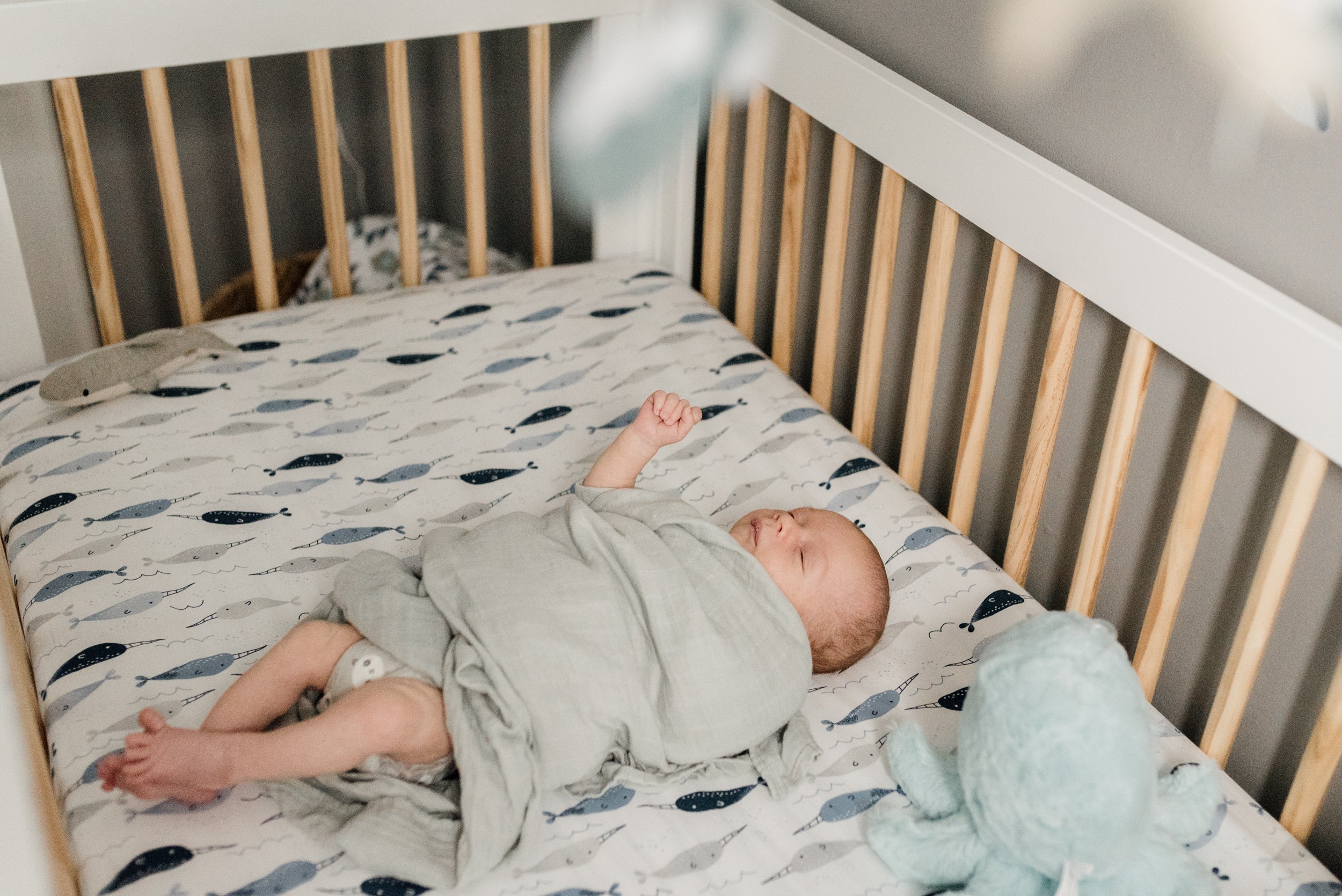 newborn in his crib in East York, Toronto