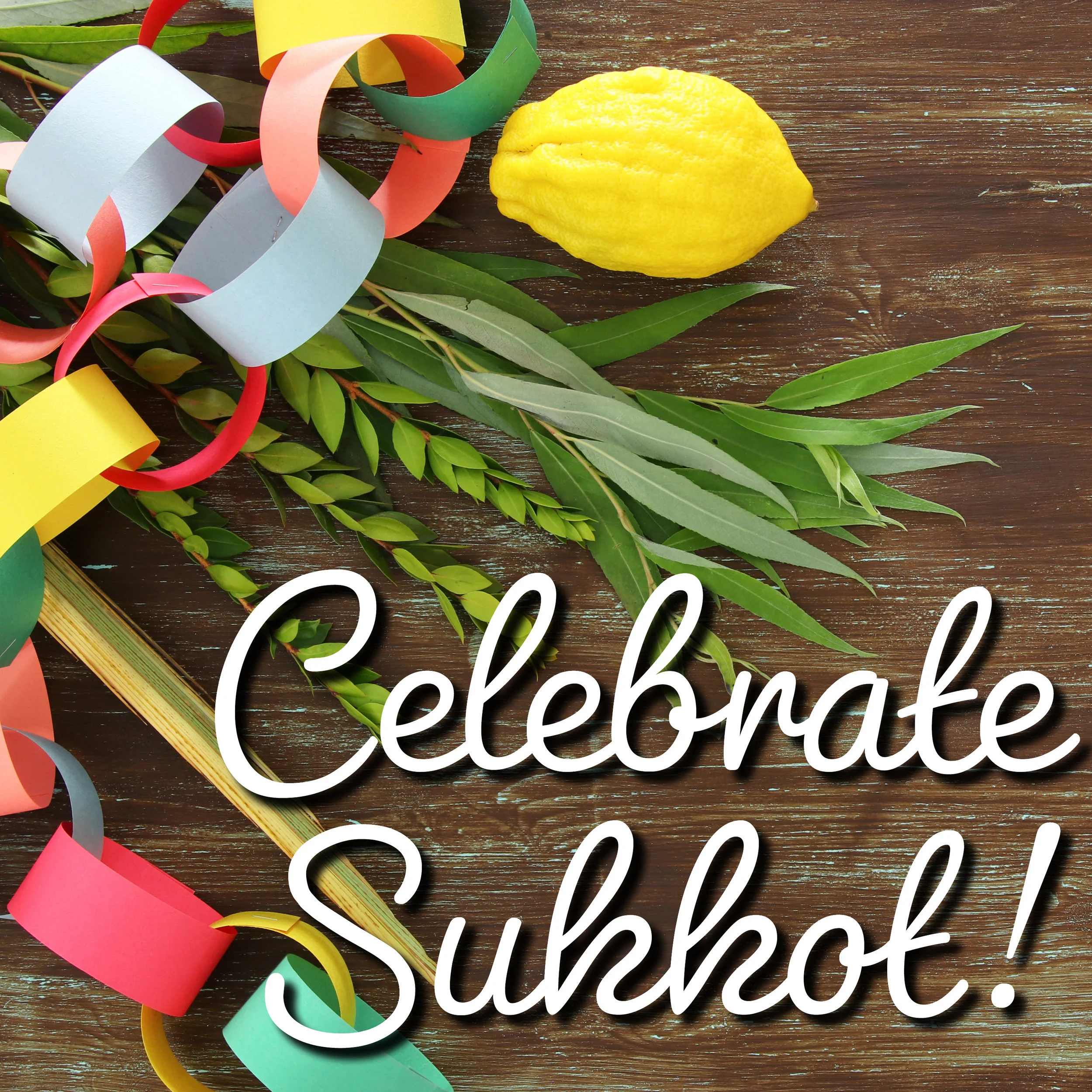 Sukkot_sq.jpg