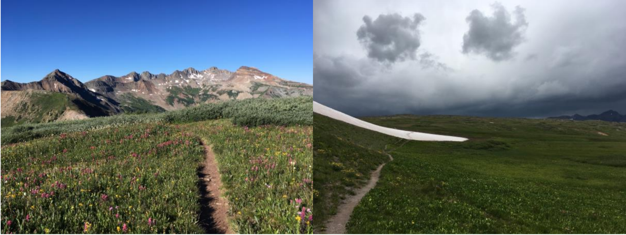The beauty and danger of the Colorado Trail. L: wildflowers in the San Juans. R: angry afternoon weather, with no shelter in sight.