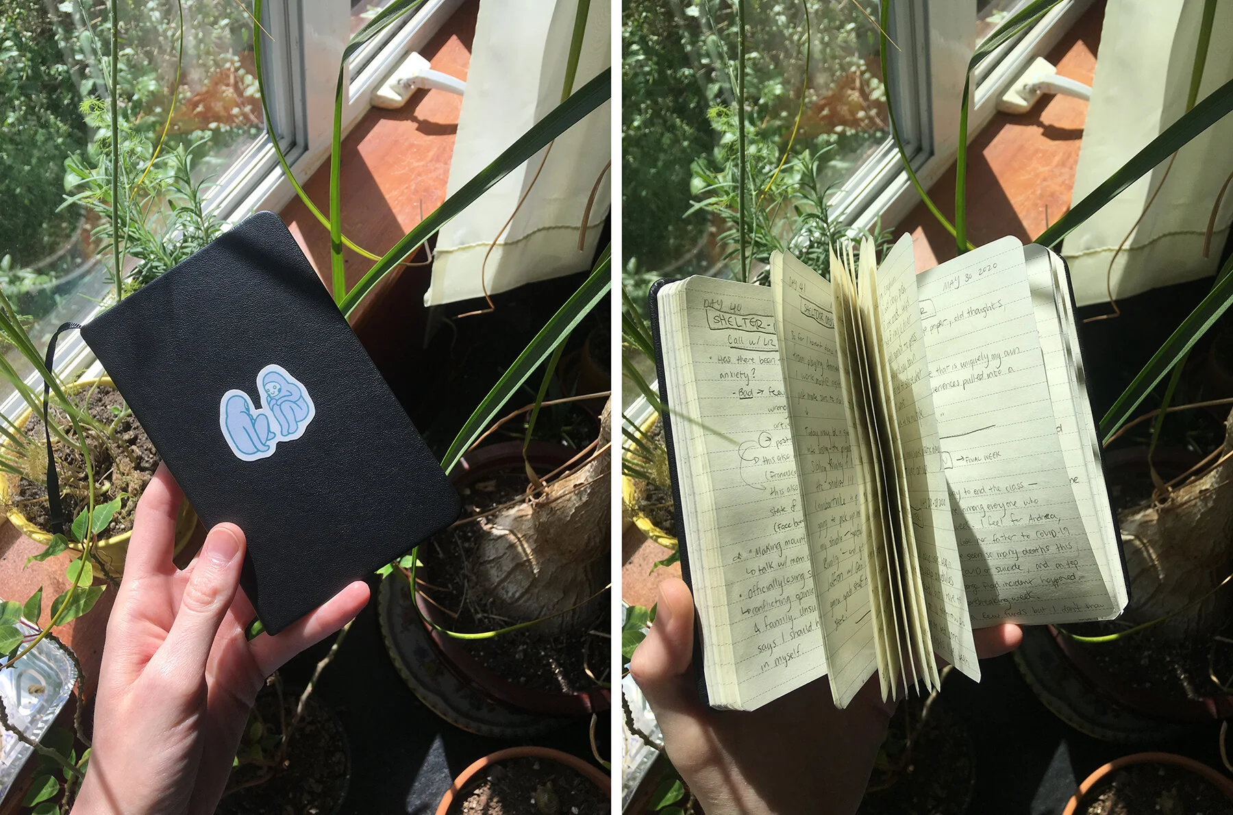 7. Journal.jpg