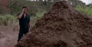 image2.gif