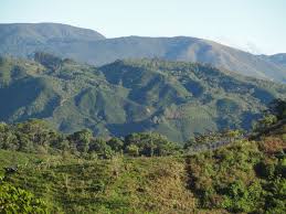 GUIDED HIKE IN THE SURRONDING HILLS
