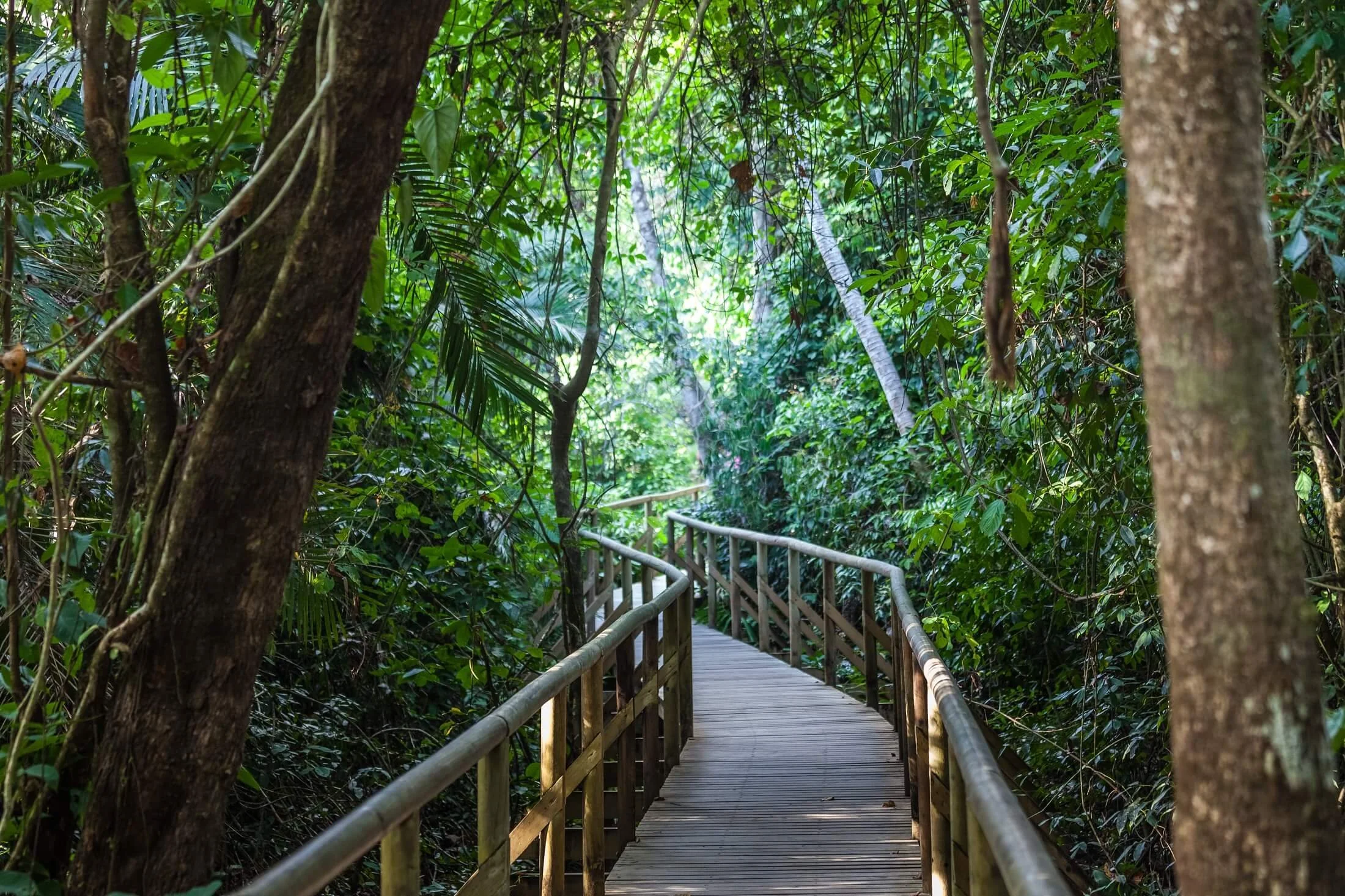 a5bb53d0-78af-11ec-bc8e-0b22aad4e2bd-hike-Manuel-Antonio-national-park.jpeg