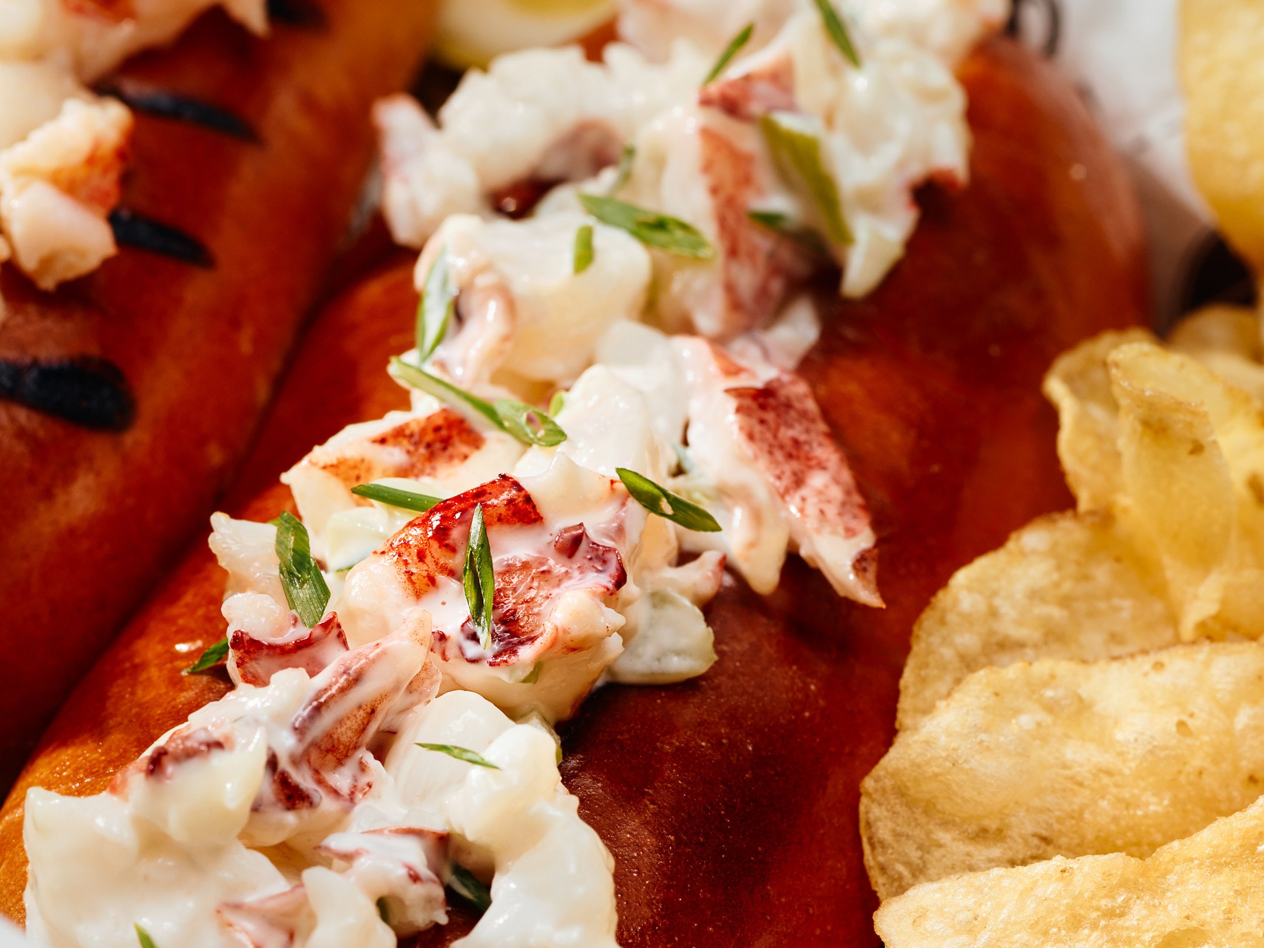 Lobster Rolls Two Ways