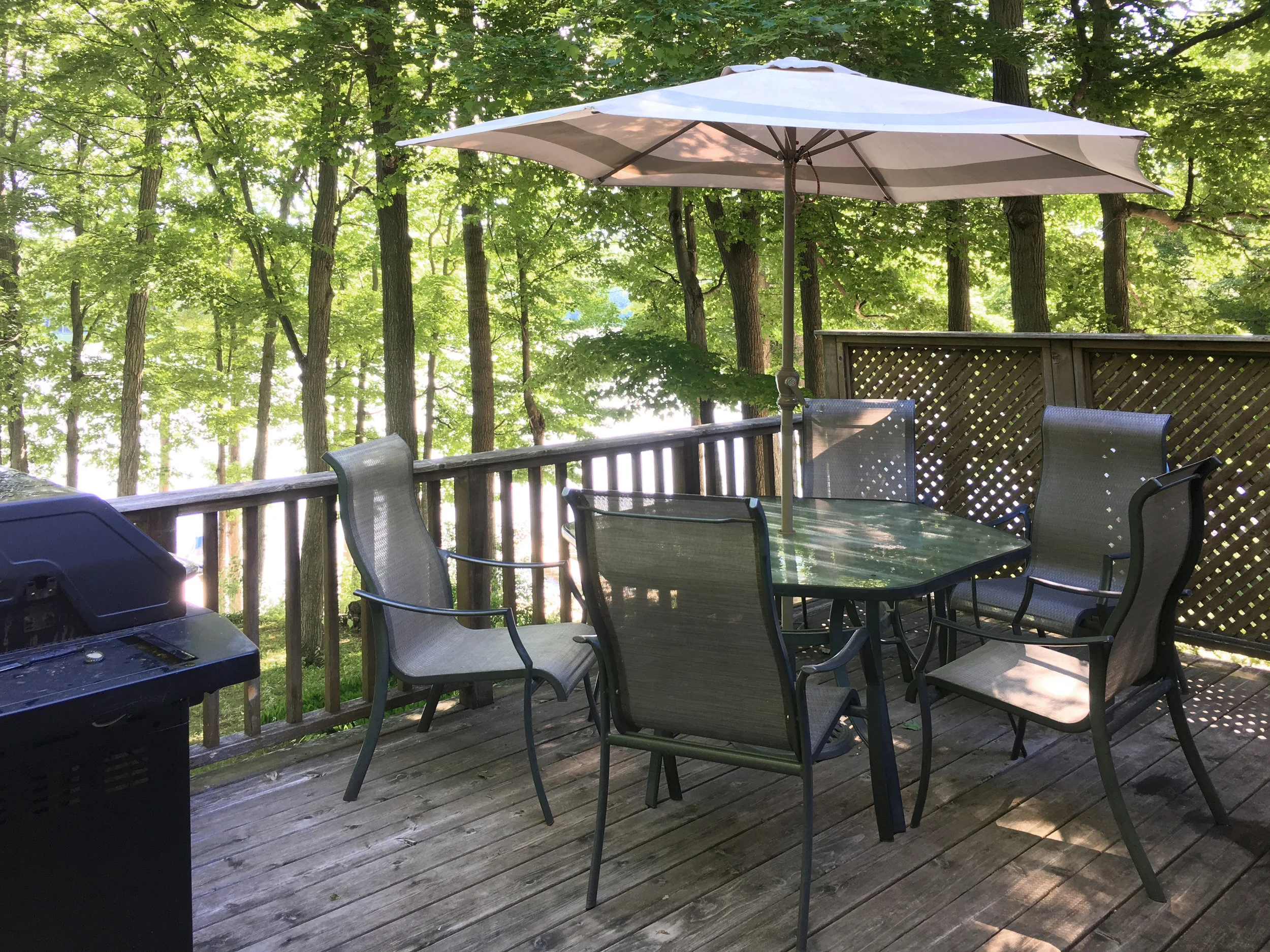 Gallery — MARSHMALLOW SHORES