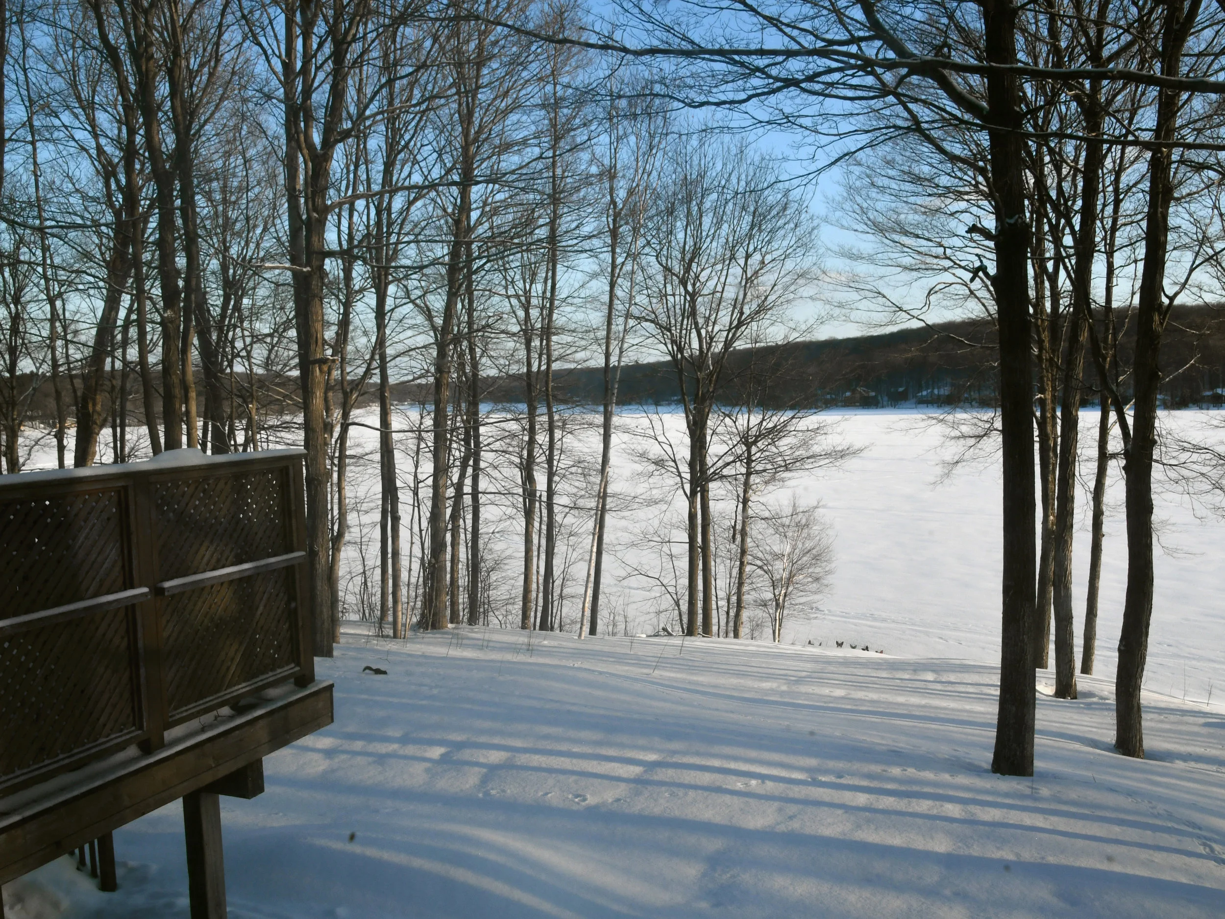 Gallery — MARSHMALLOW SHORES