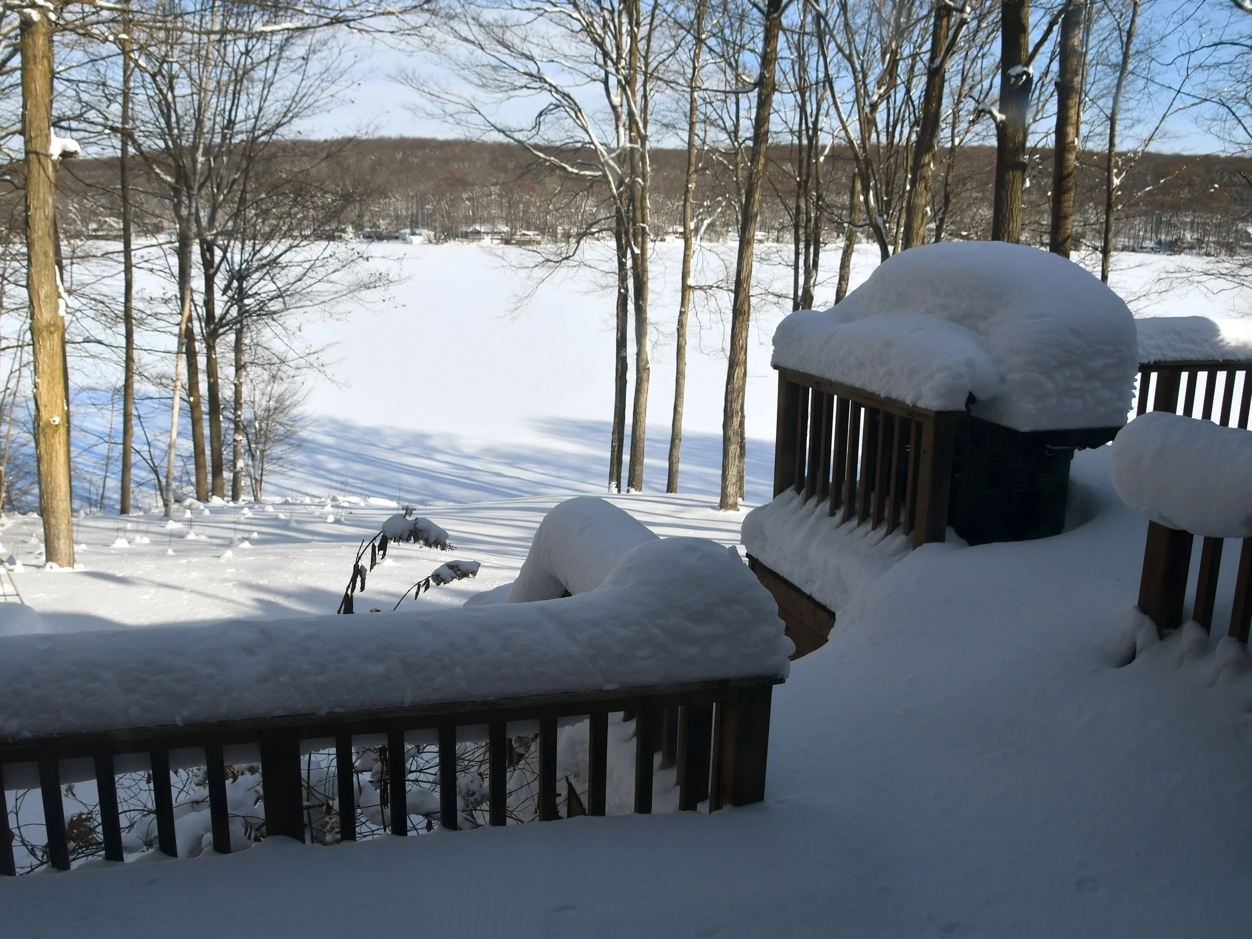 Gallery — MARSHMALLOW SHORES