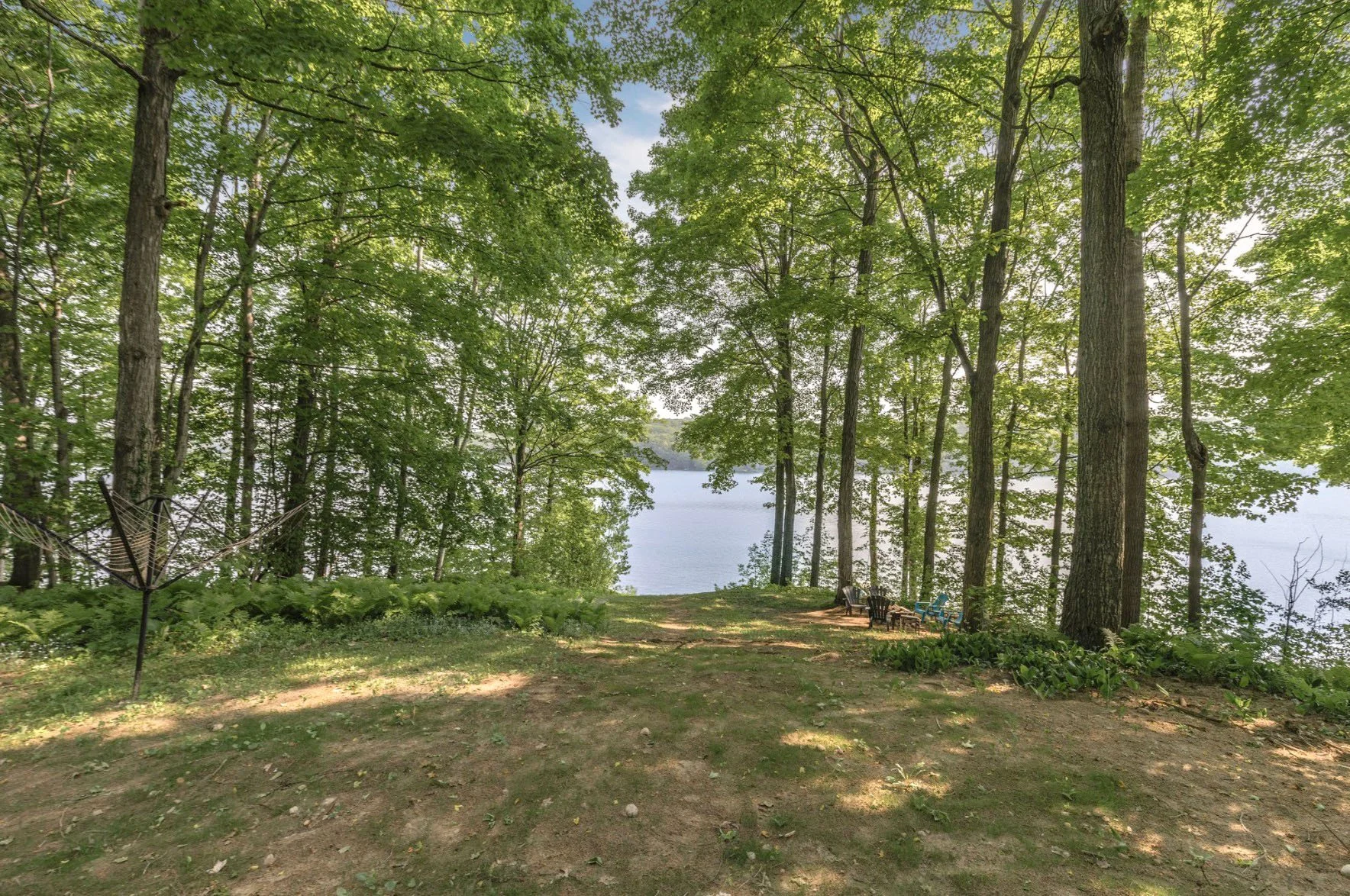 TREE LINED SLOPING BACKYARD