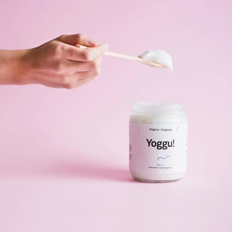 Yoggu-yogurt.jpg