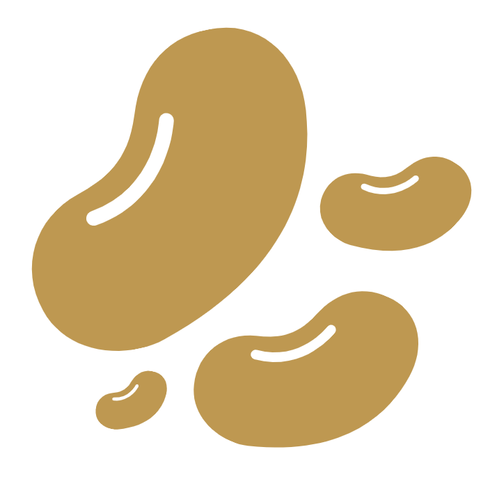 Coffee Processing - Noms Mag.png
