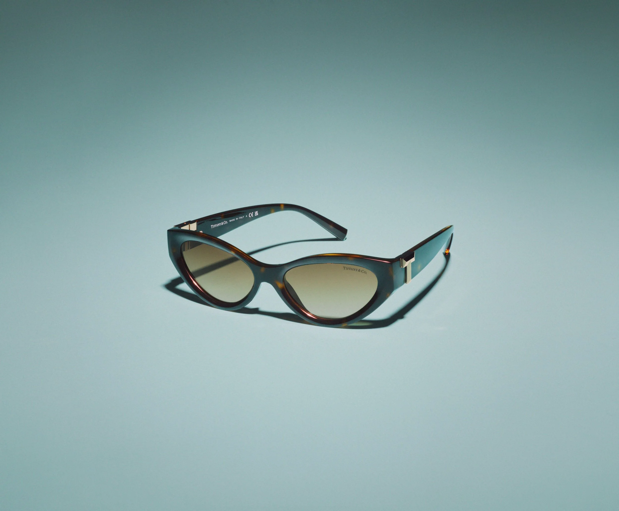 Tiffany Eyewear_Fall_Shot 1C_sRGB.jpg