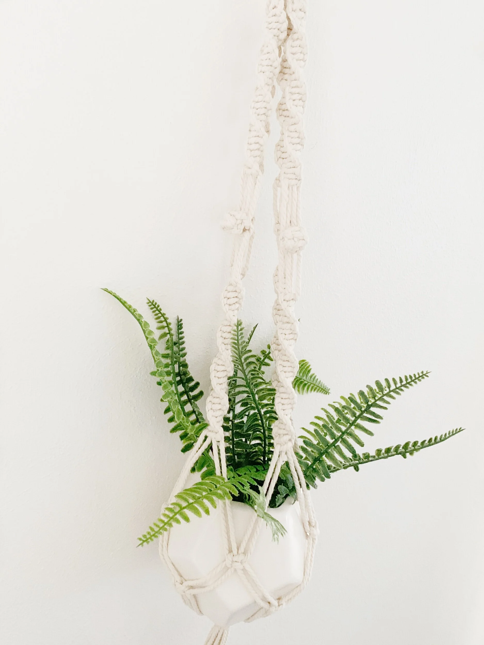DIY Macrame Plant Hanger