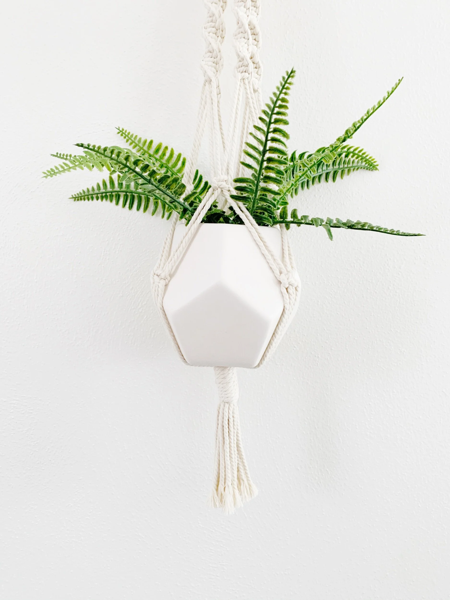 809859E5-C1FA-4264-8F8C-3ED54A0BFEB1