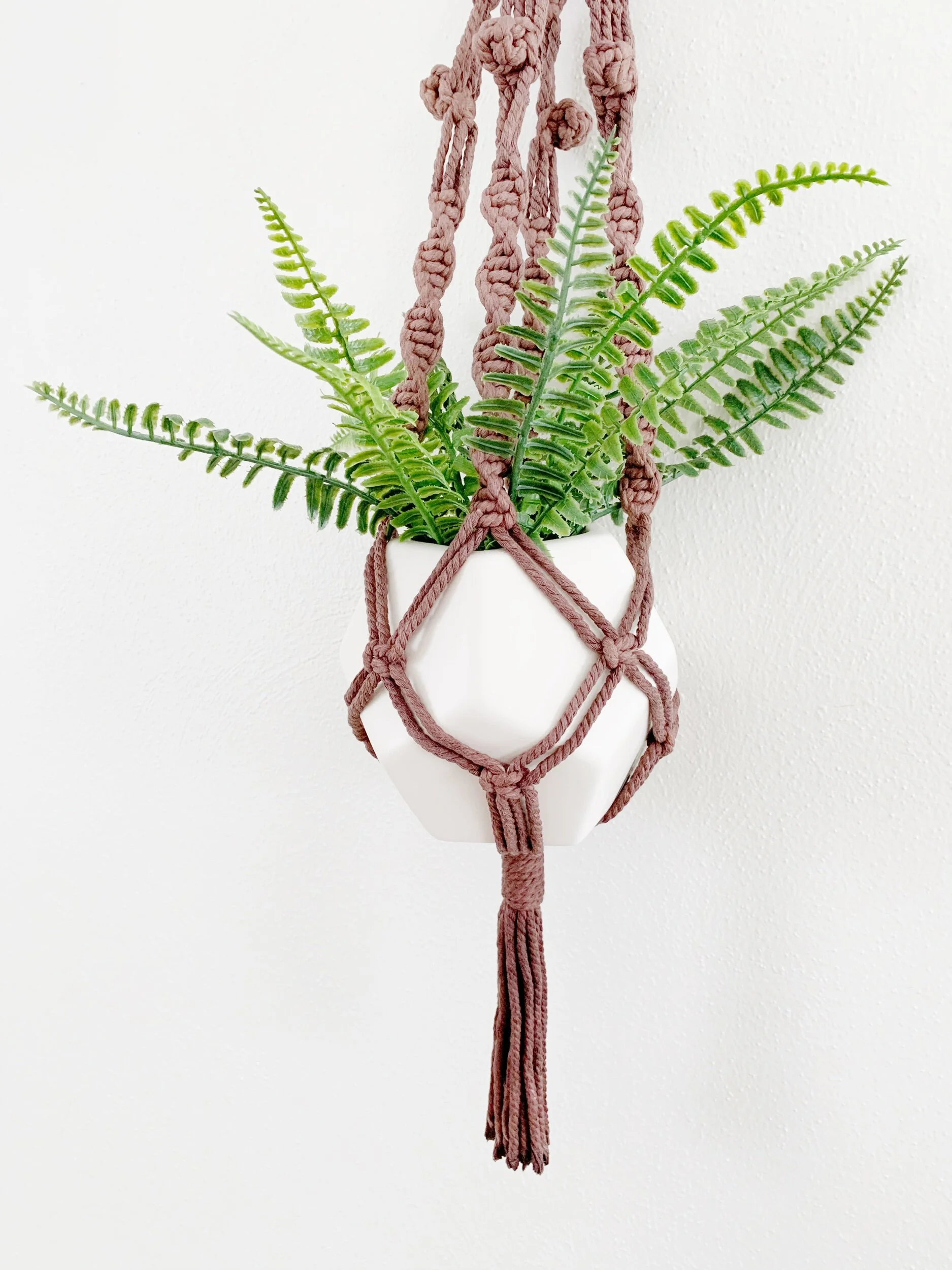 9EFEBFCD-BFE4-4D37-9459-76733A88A645