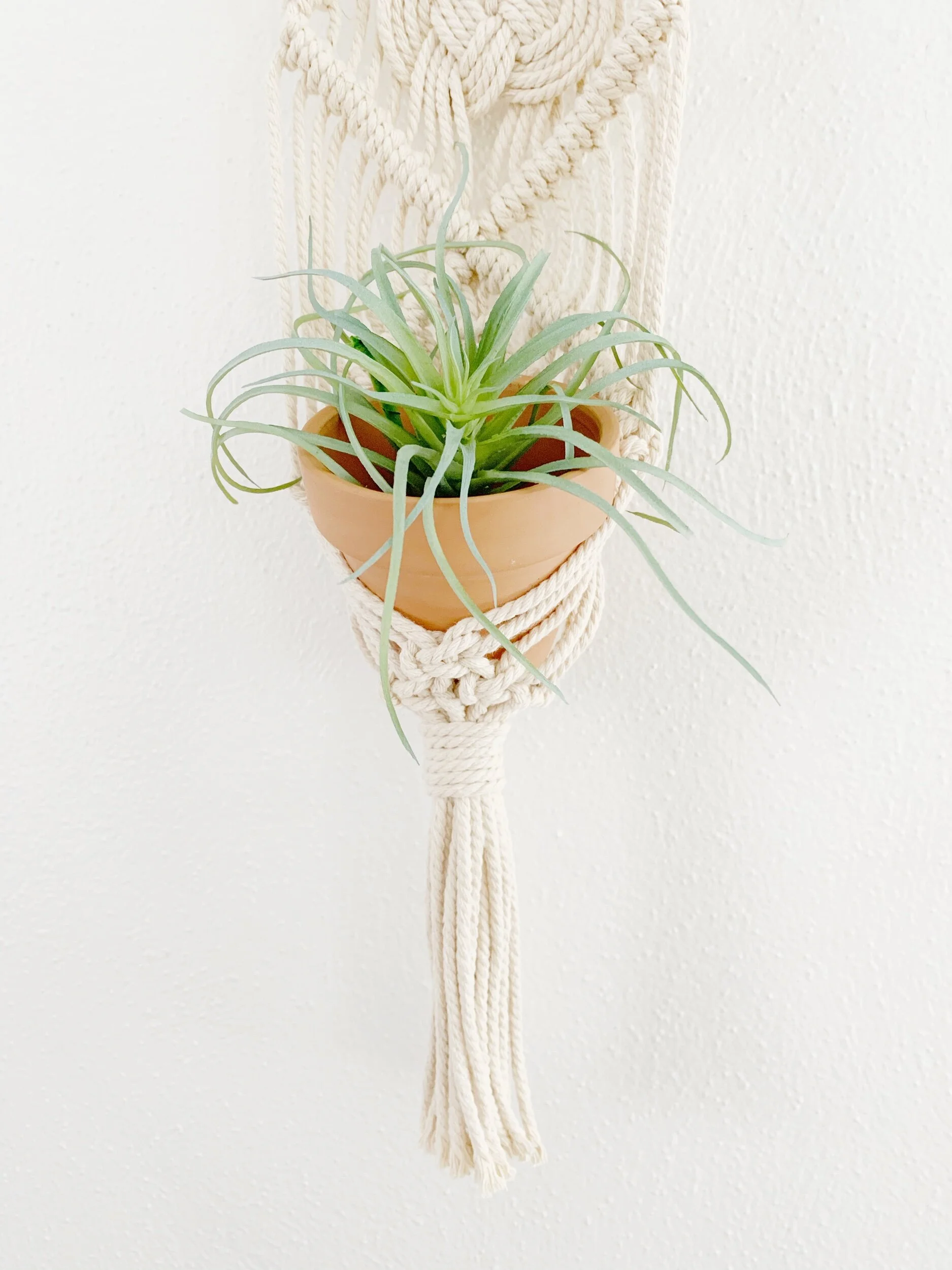 A7B1F15C-5888-4122-AA46-703320781BFF