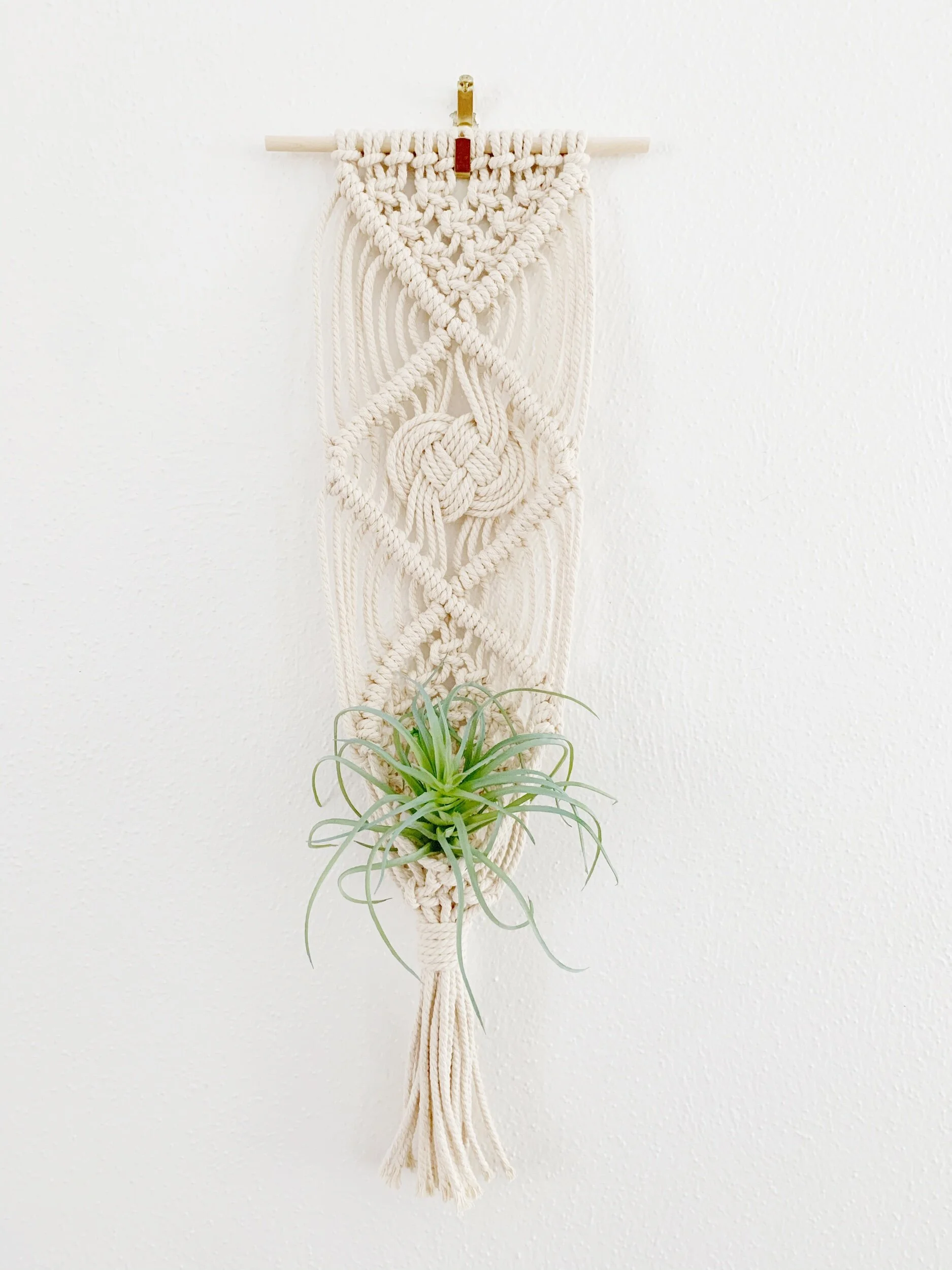 6448D12E-8B7A-4FF7-85CC-C7E2E797F144