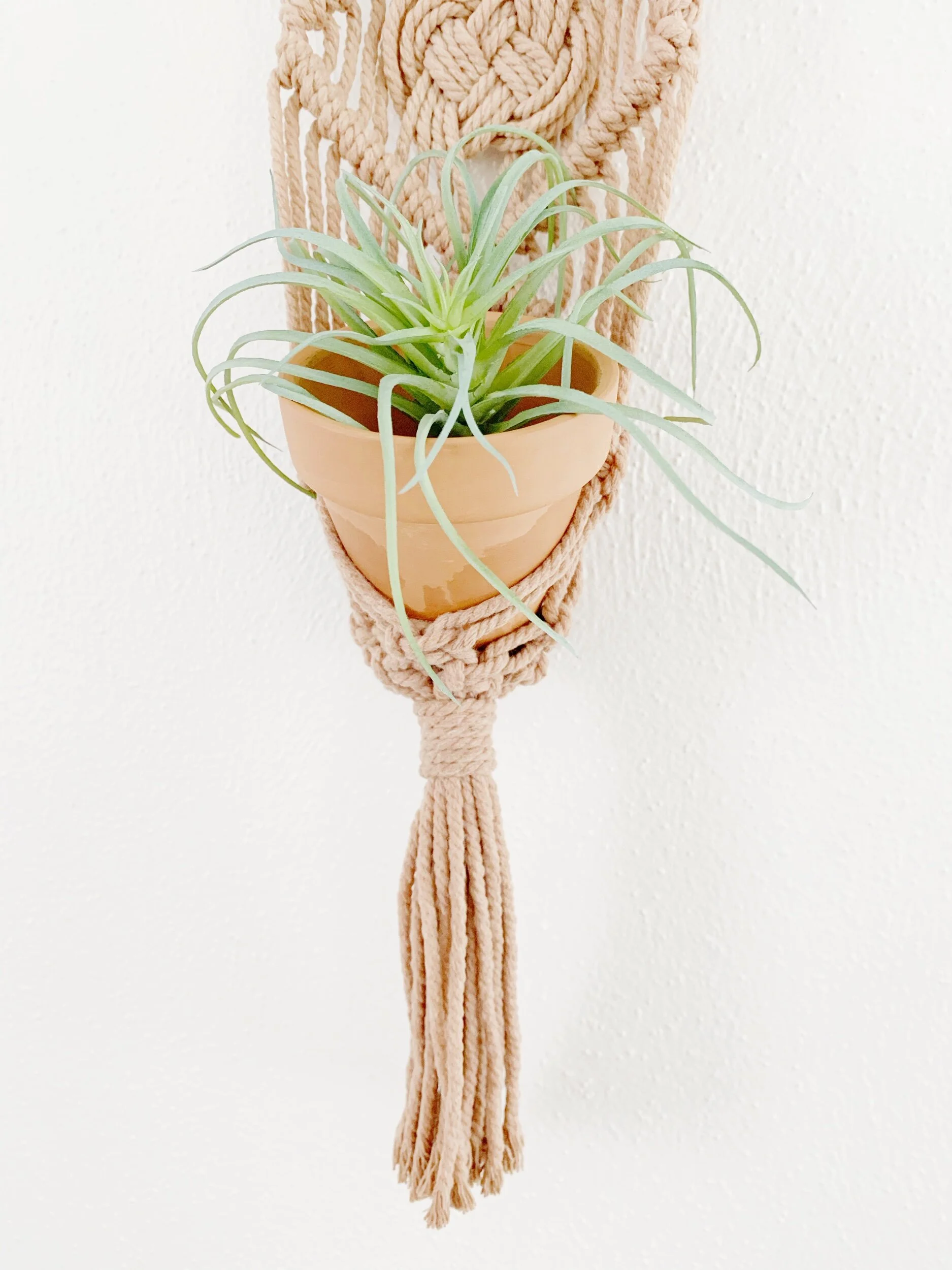 23638CF2-F722-4A0D-B936-51326CFDDEB7