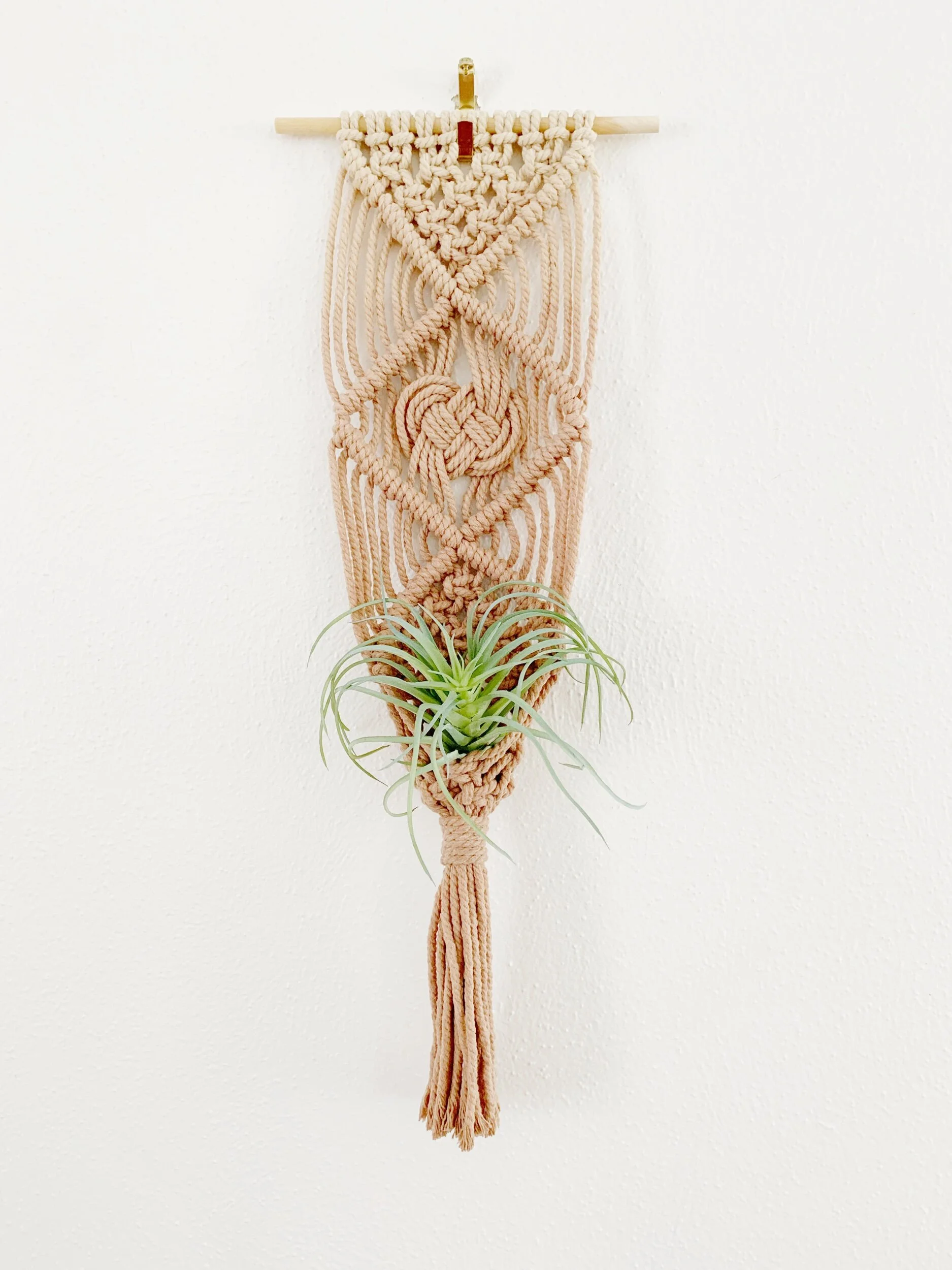 3A6FD456-A07A-4A06-8B9B-5CDE6459C0CE