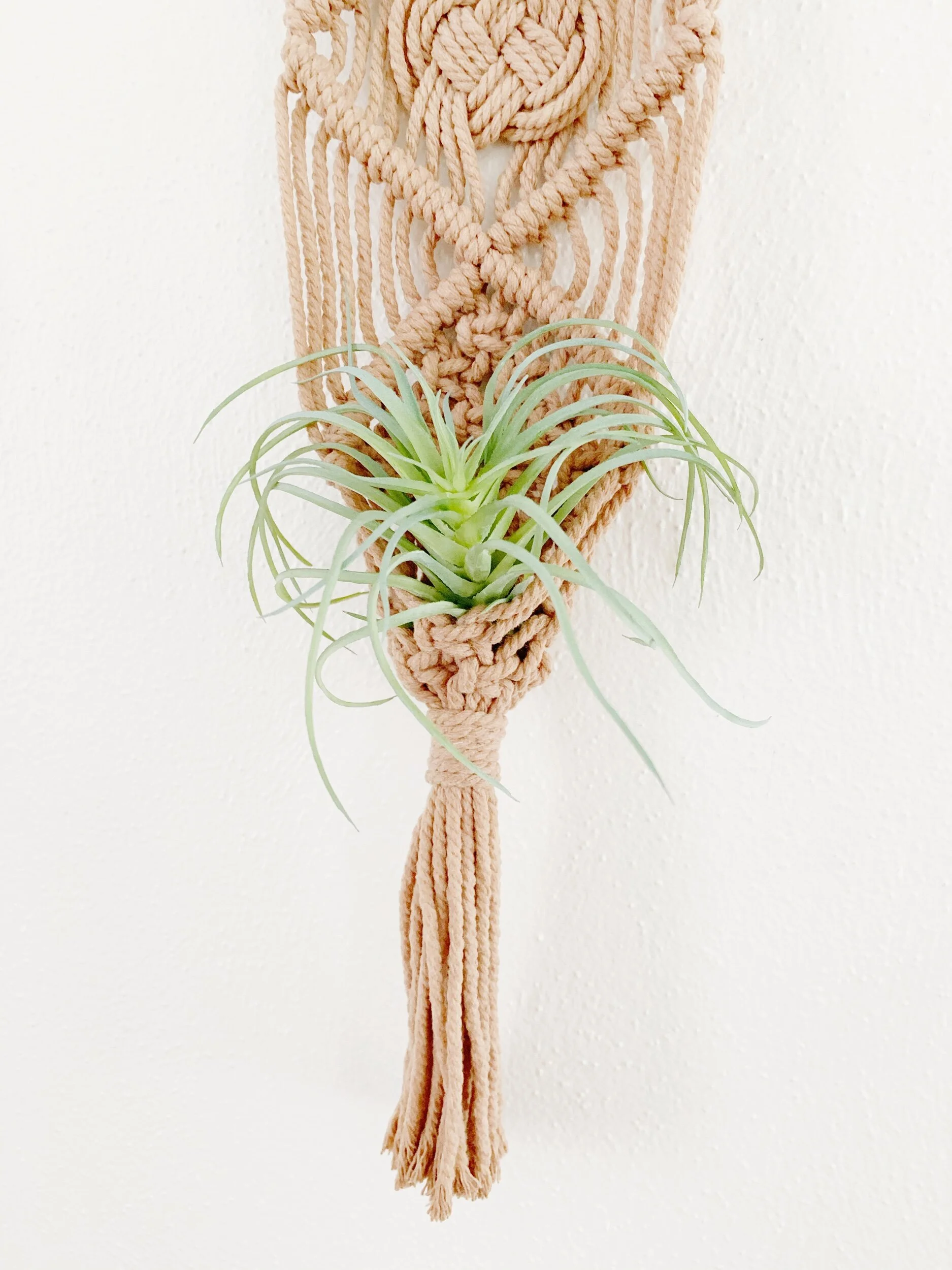 DAA30B30-6464-4603-B87B-40B15754E1DA