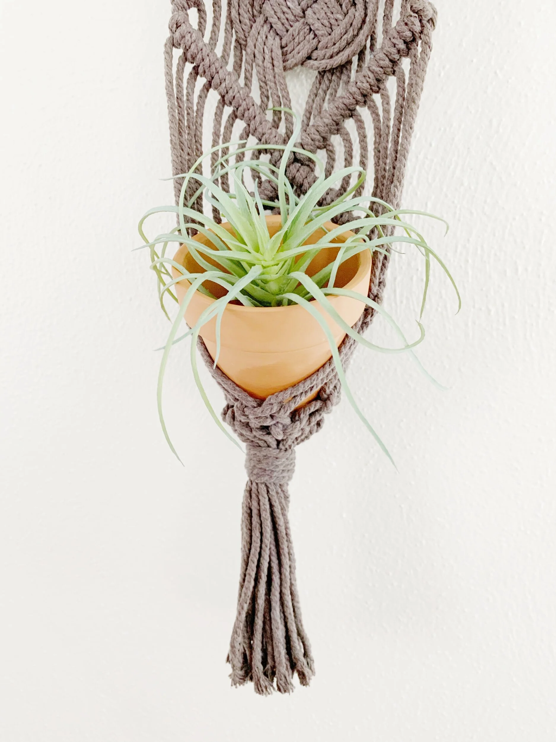 581CE657-C712-4D6B-AFEC-3050F18FBD45