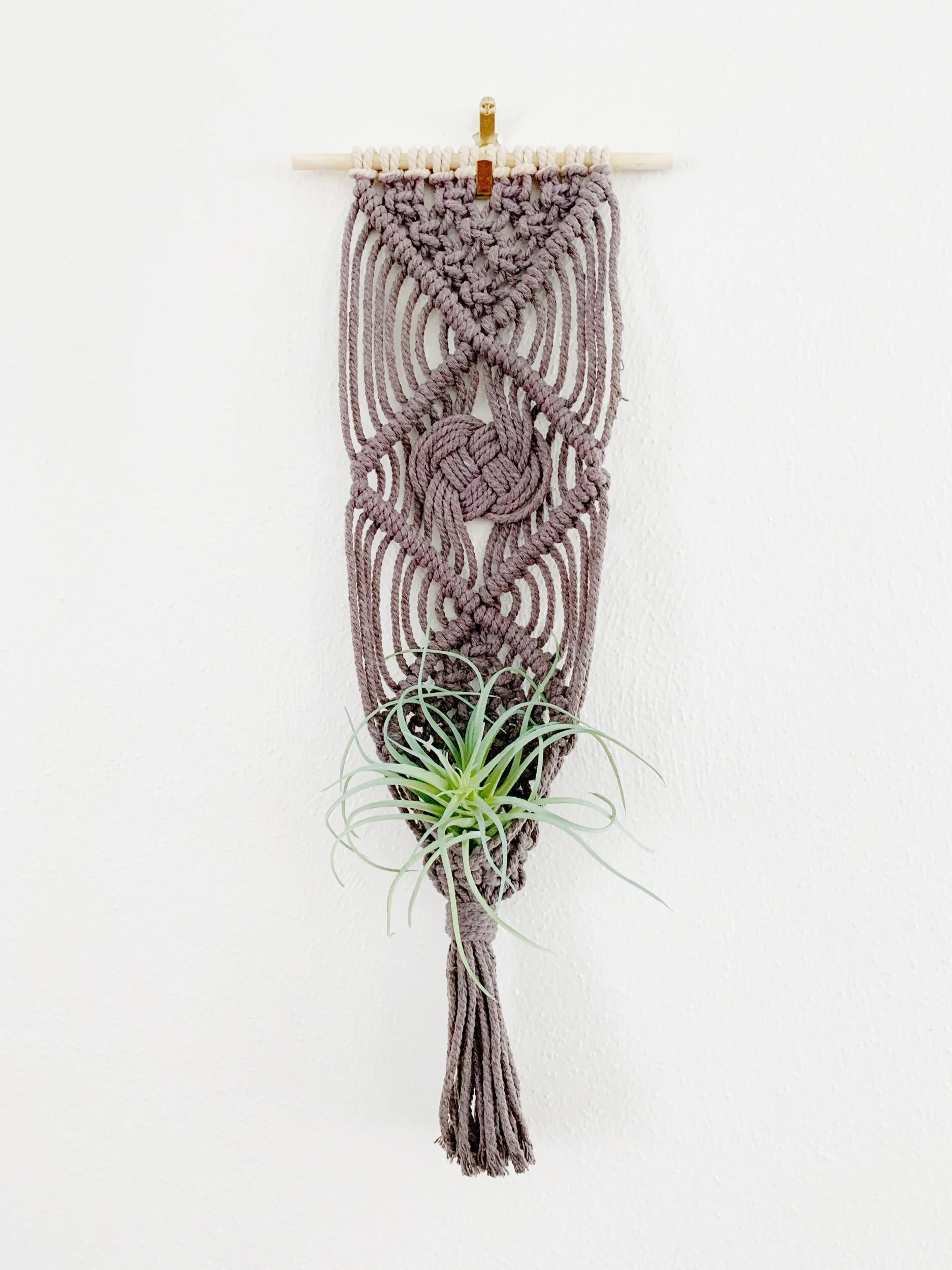 29ACB340-C9A4-443E-83D5-B15B4BAA8436