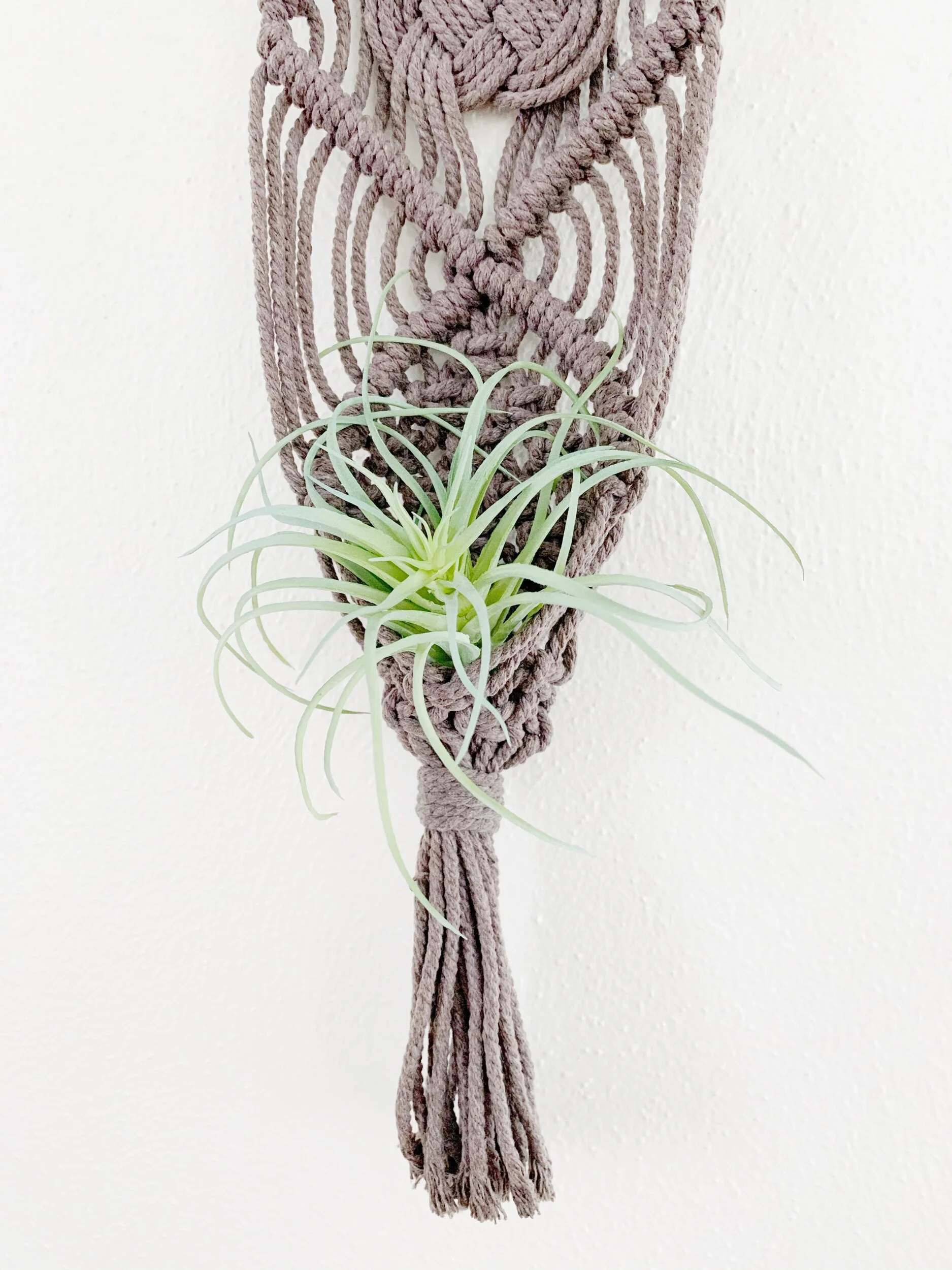 426EB64F-D8AB-43F0-8D14-8342EE54A34D