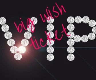big wish ticket2.jpg