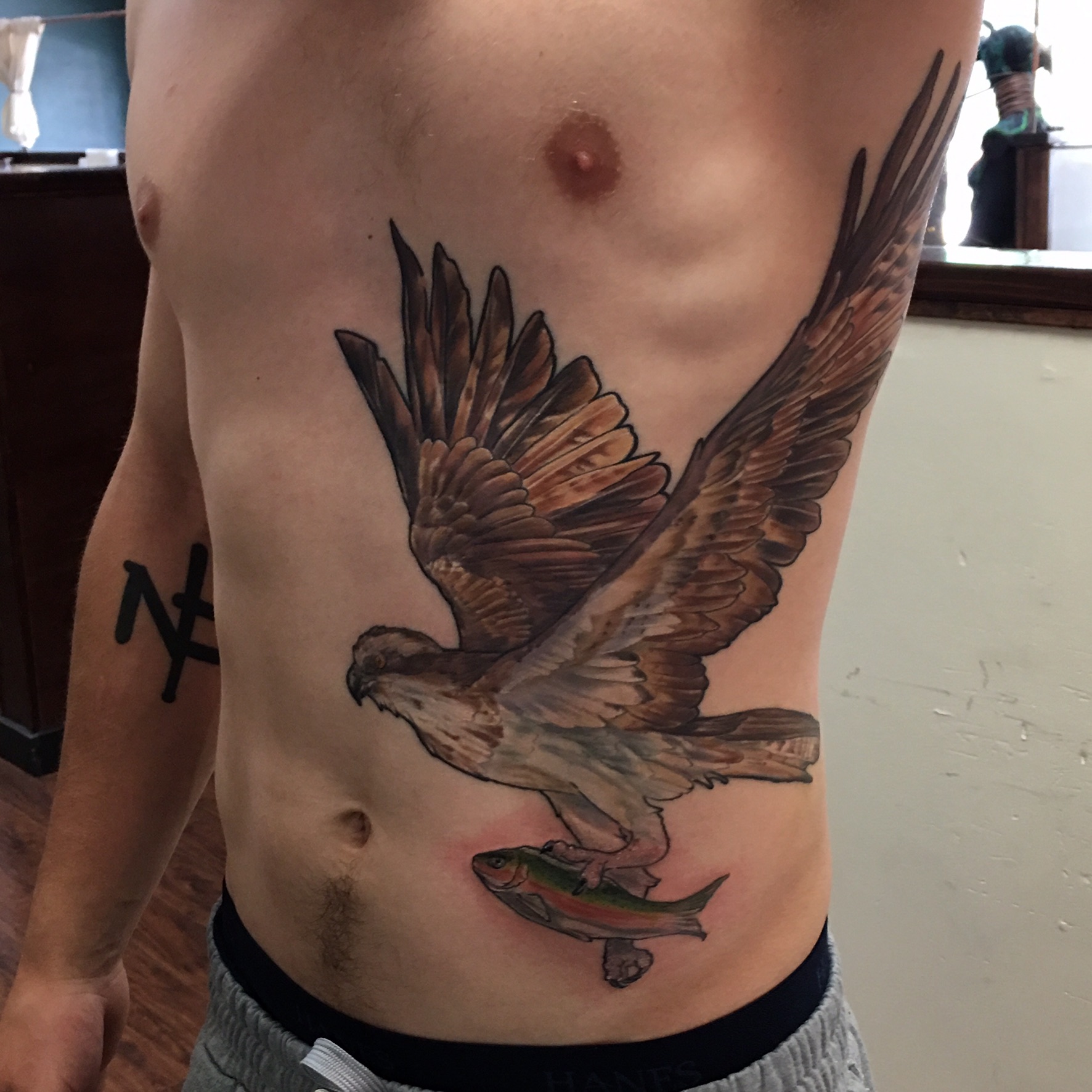 Osprey Bird Ribcage Jesse Enz.jpeg