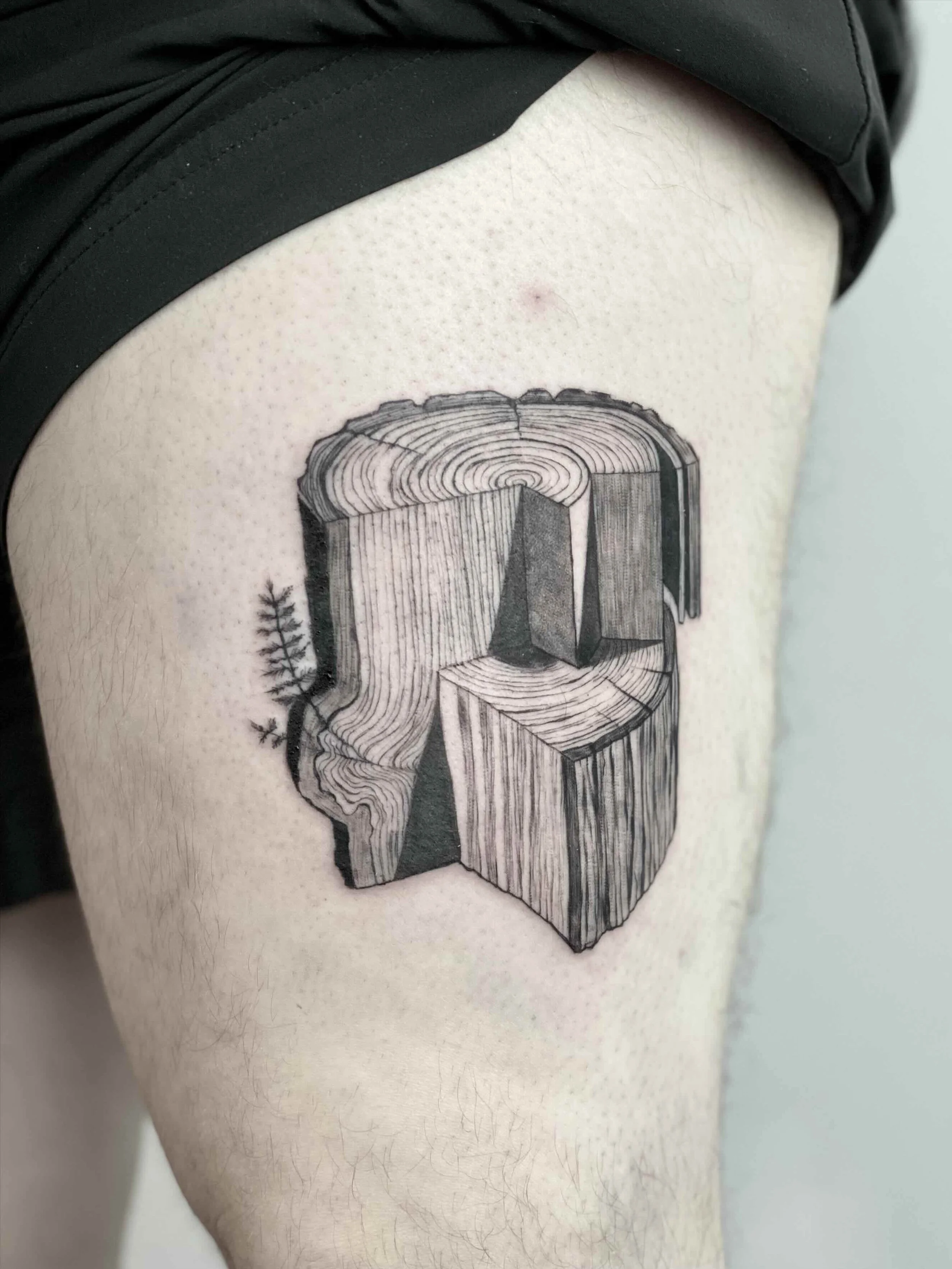 stump.jpg