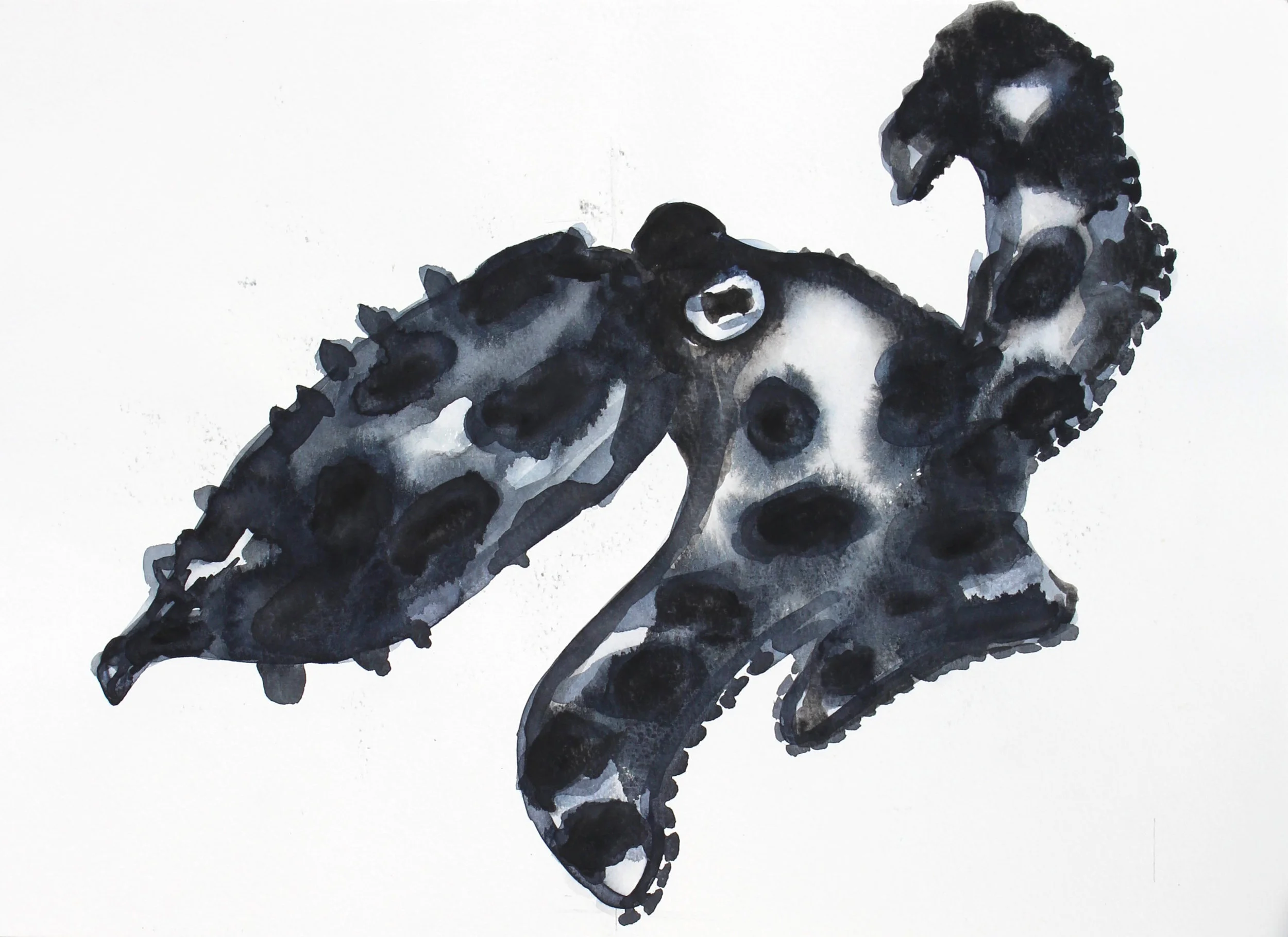 Octopus Original Painting
