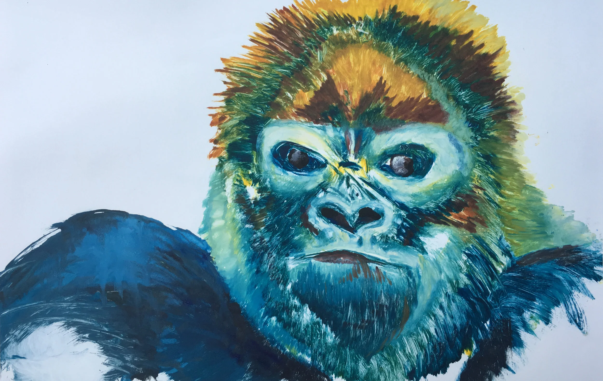 Gorilla