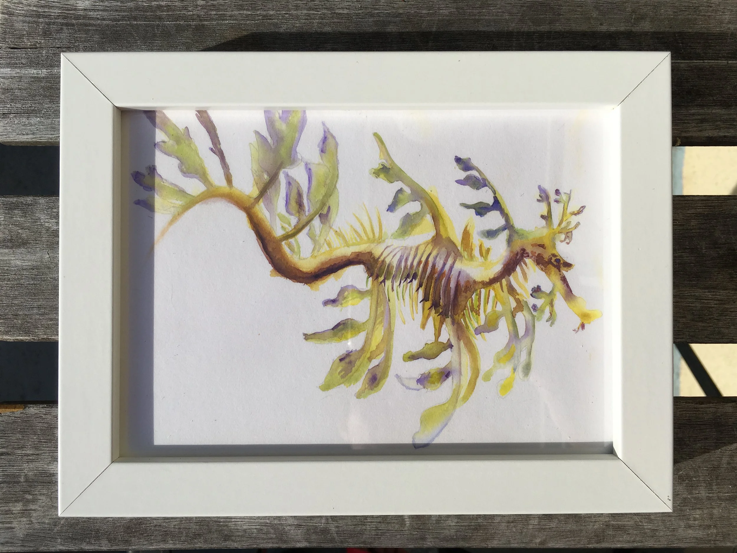 SEA DRAGON 5X7 WHITE RIBBA