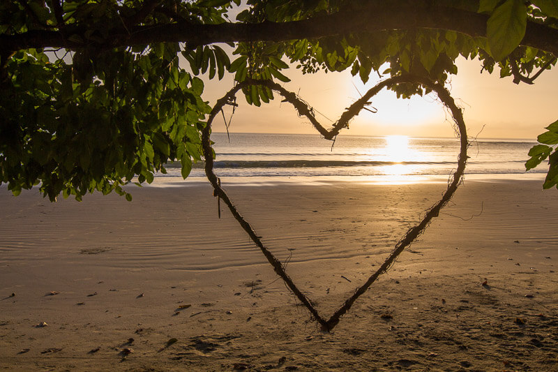 cape trib heart.jpg