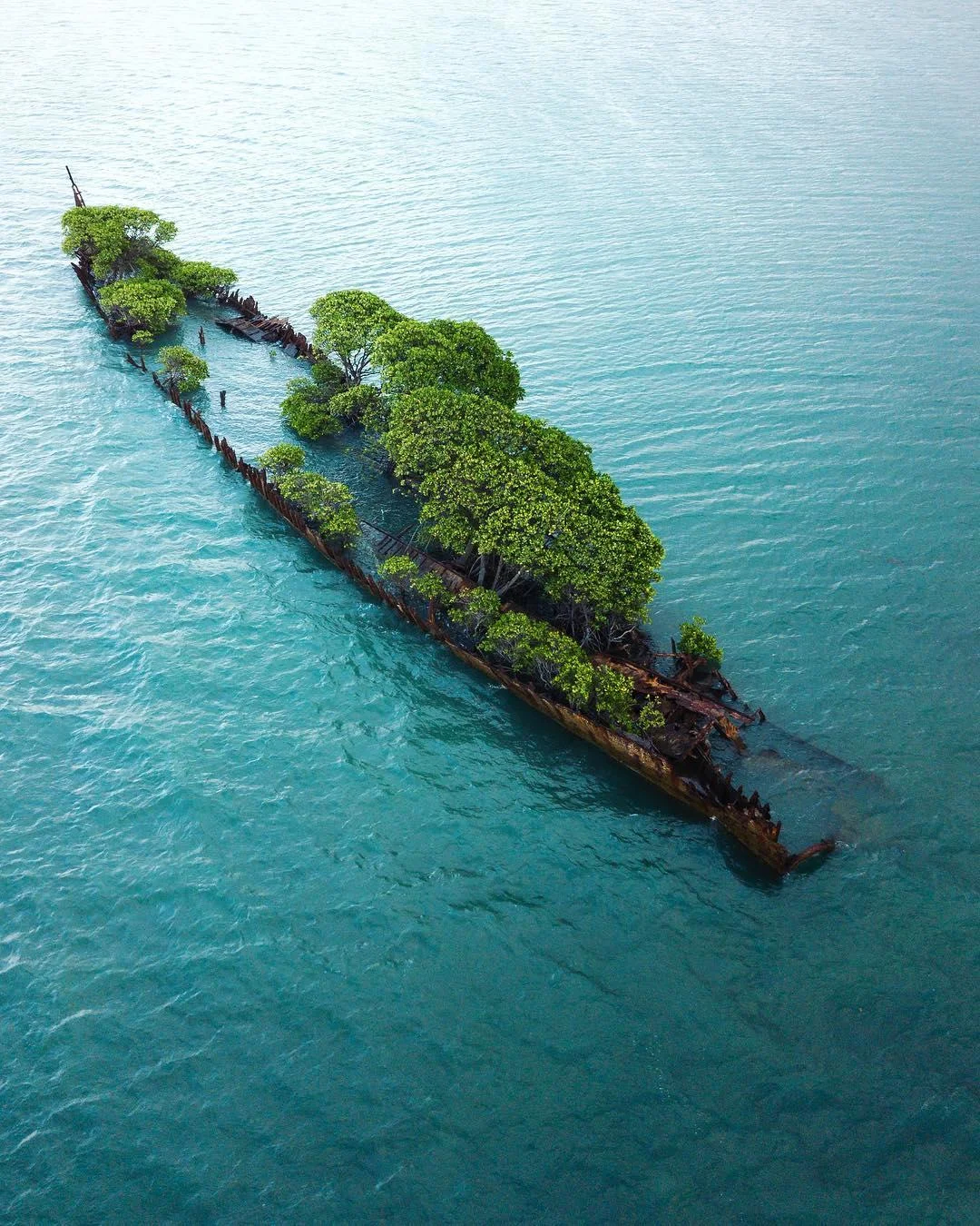 Wreckage of SS City of Adelaide. Credit: Reddit