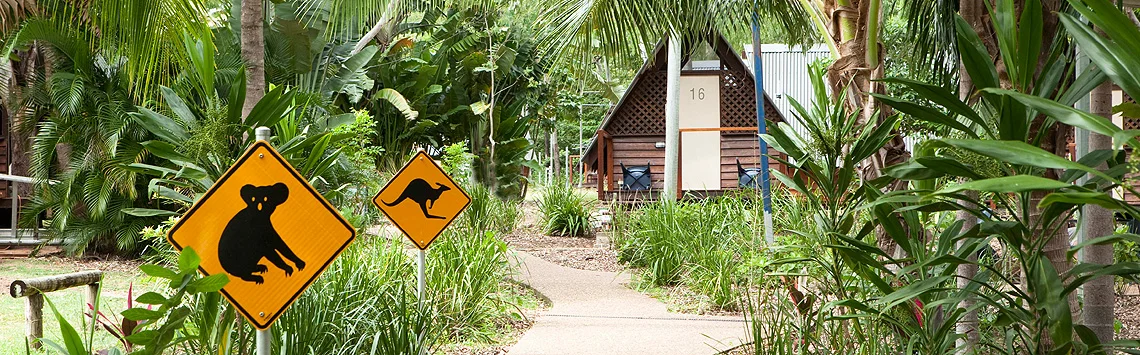 Bungalow Bay Koala Village YHA
